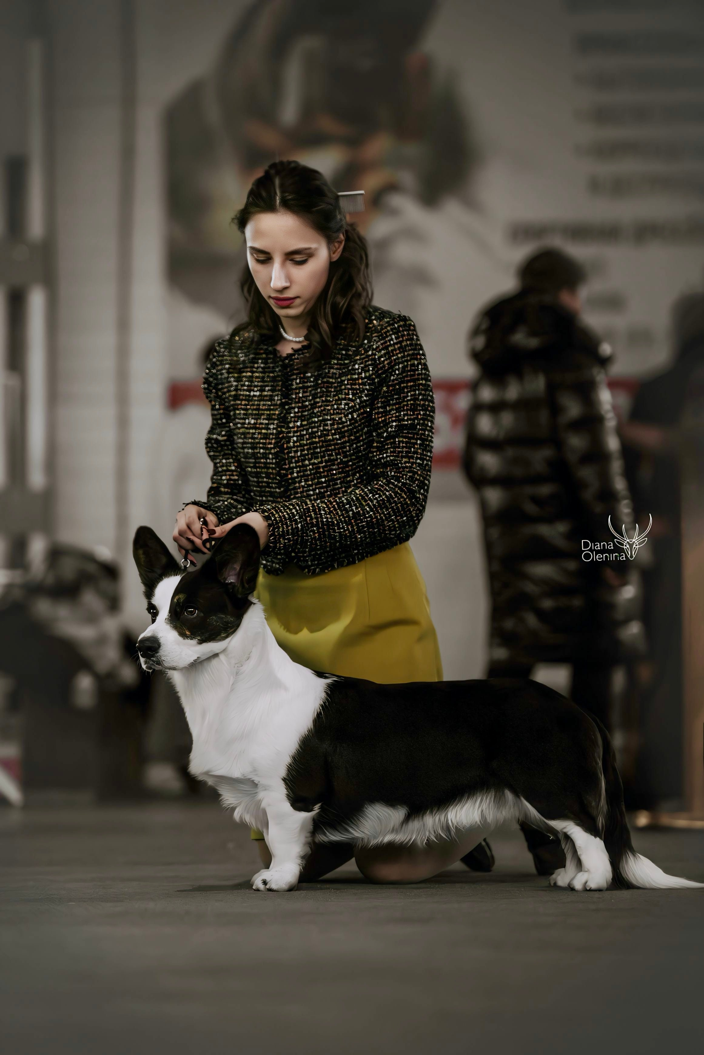 С выставок. Фотограф Диана Оленина Красноярск / Братск