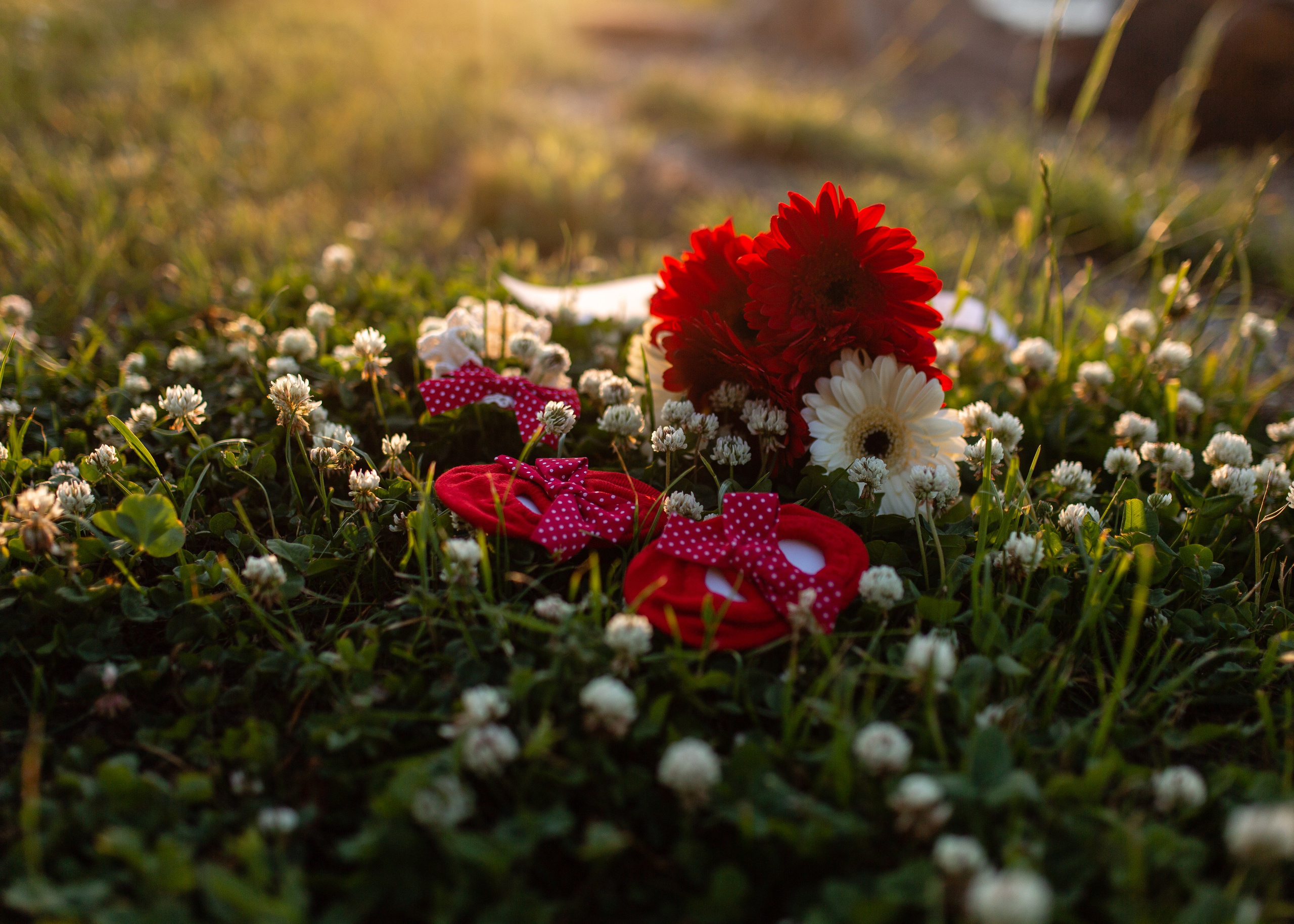 Руслан и Карина. Фотограф в Приморско-Ахтарске Марьяна Чопко