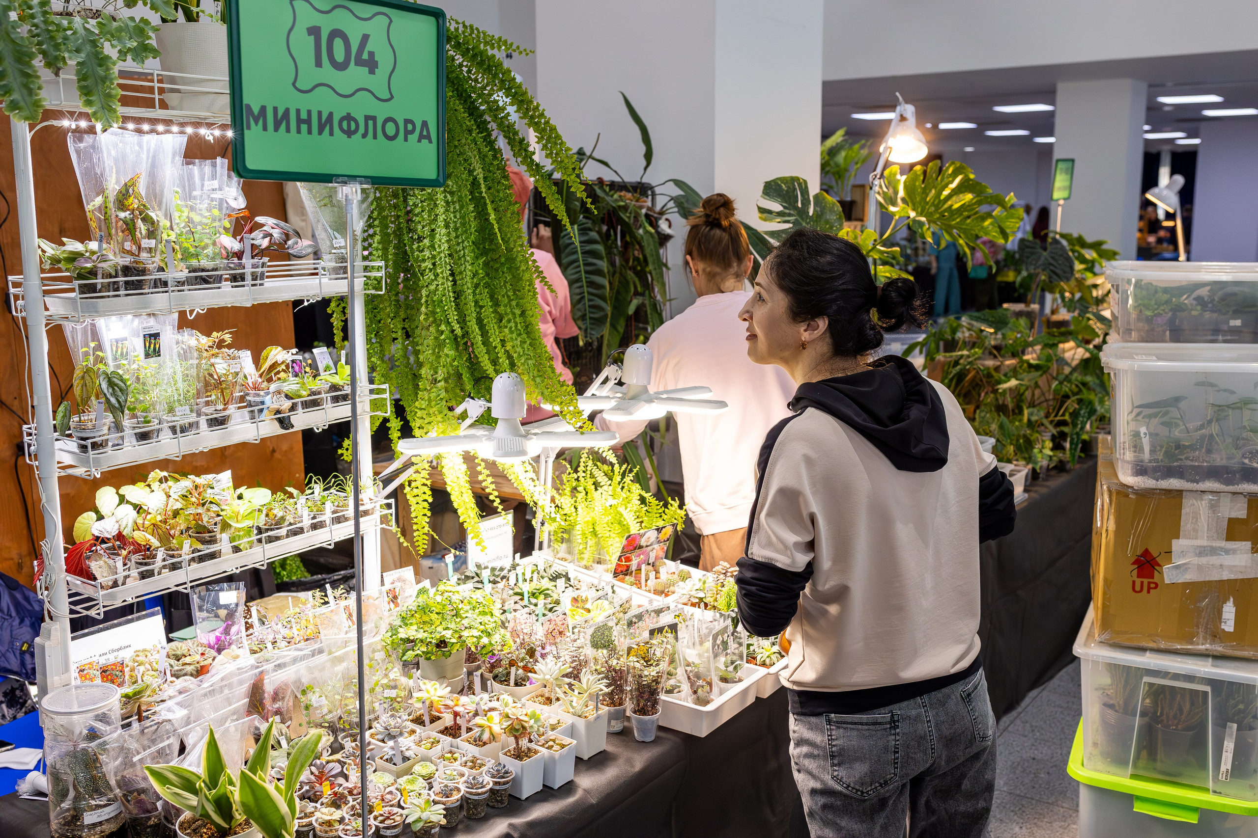 Монстериум апрель 2025. Александра Куликова фотограф, Москва