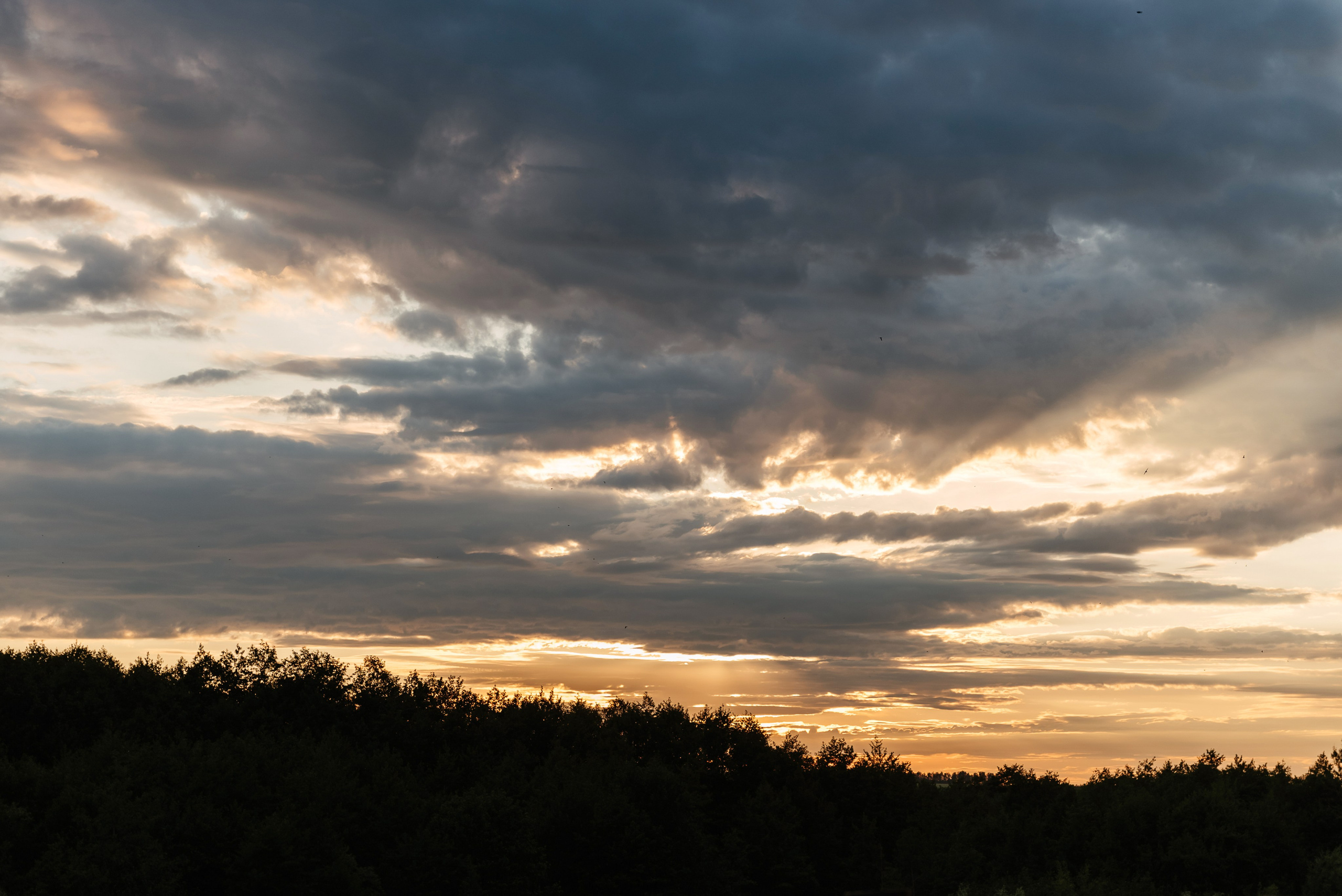 Илья и Дарья, 2024 год. Свадебный и портретный фотограф в Липецке Анастасия Ролдугина