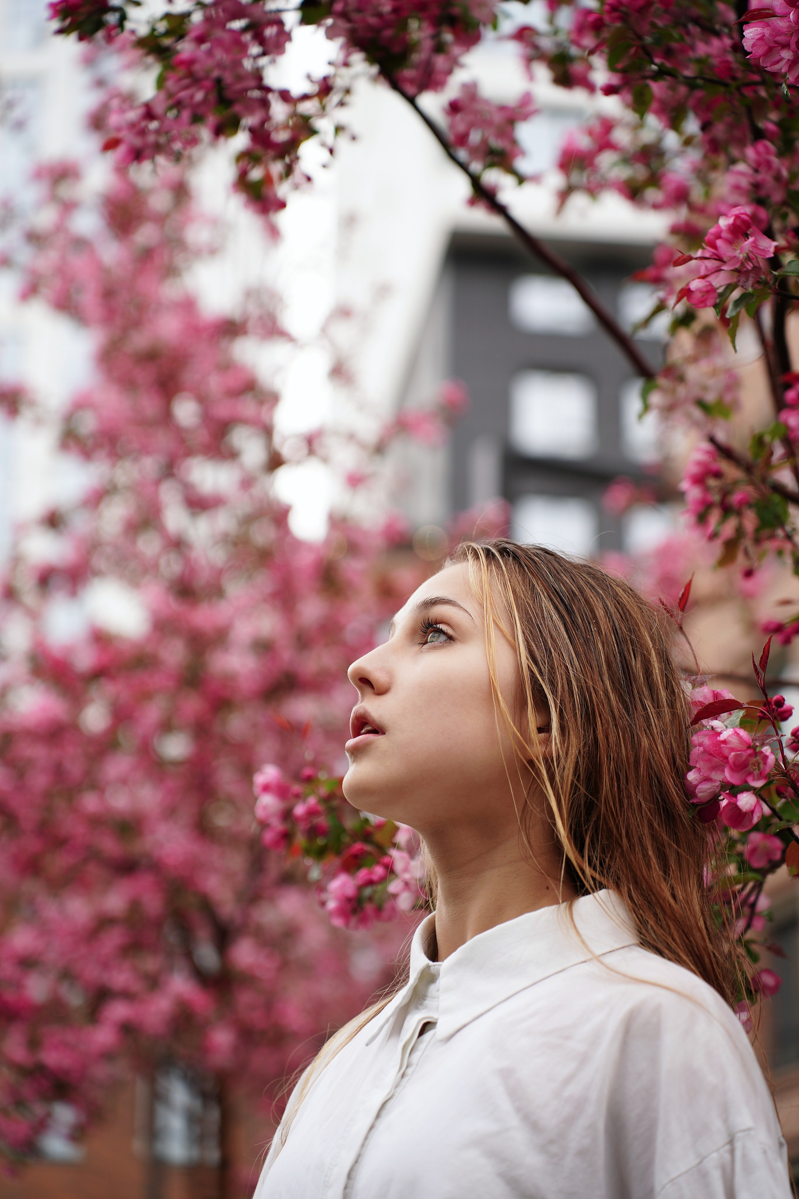 Оля Башкирская Сакура. Pupov.png