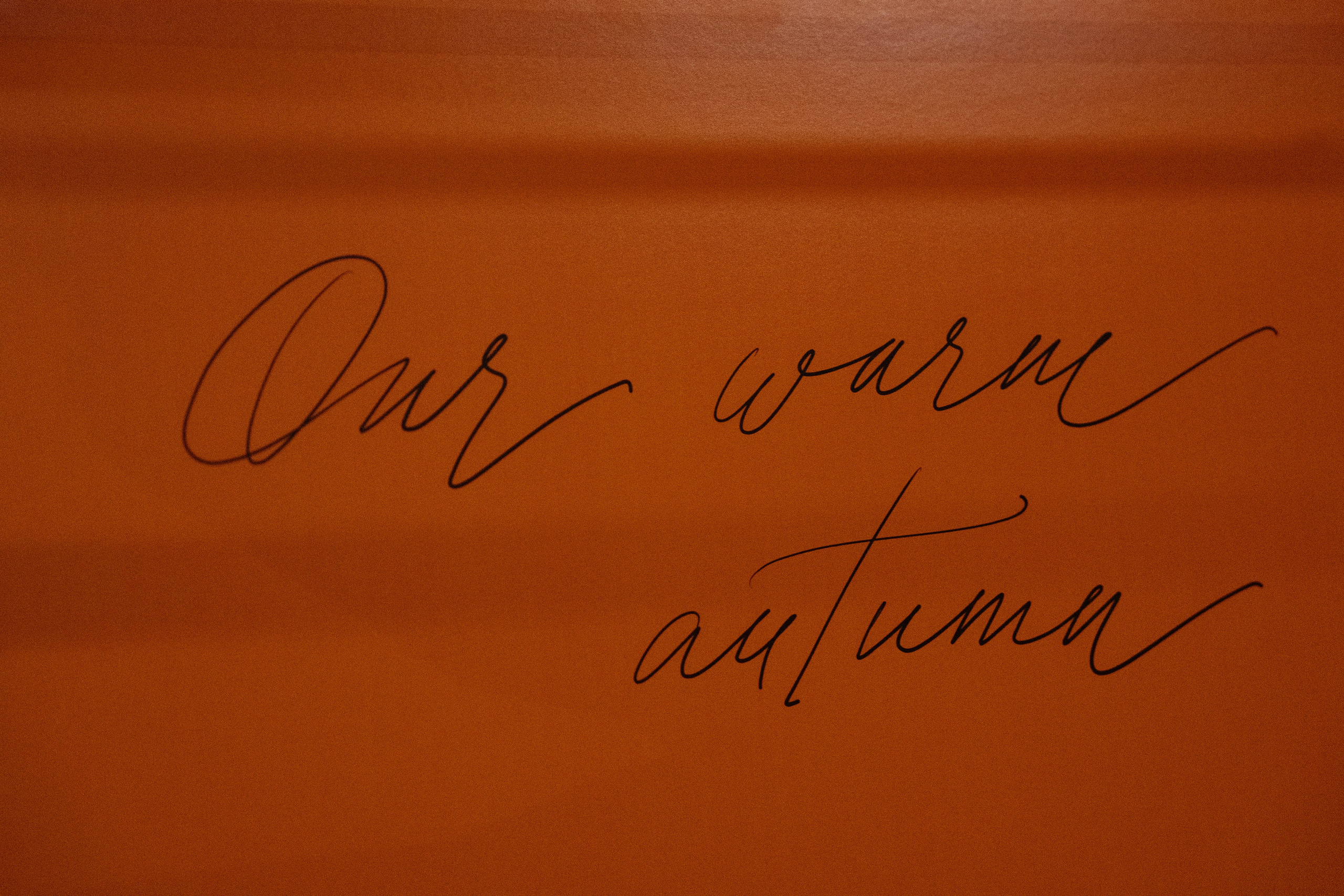 Оранжевая свадьба в гребешках. Свадебный фотограф организатор в Санкт-Петербурге Ассоль Опарина