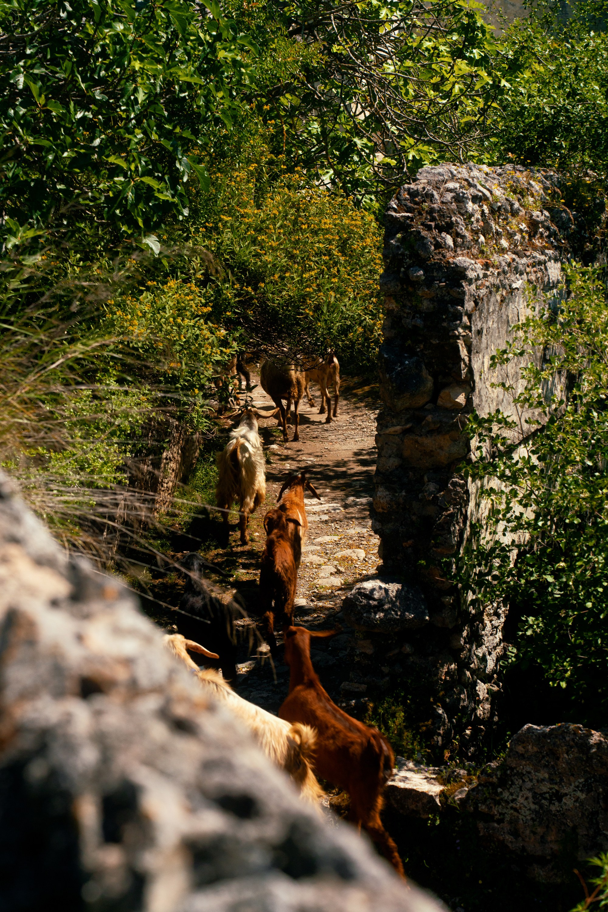 Турция, Греция, Иордания. Фотограф в Хабаровске. Фотография за 24 часа