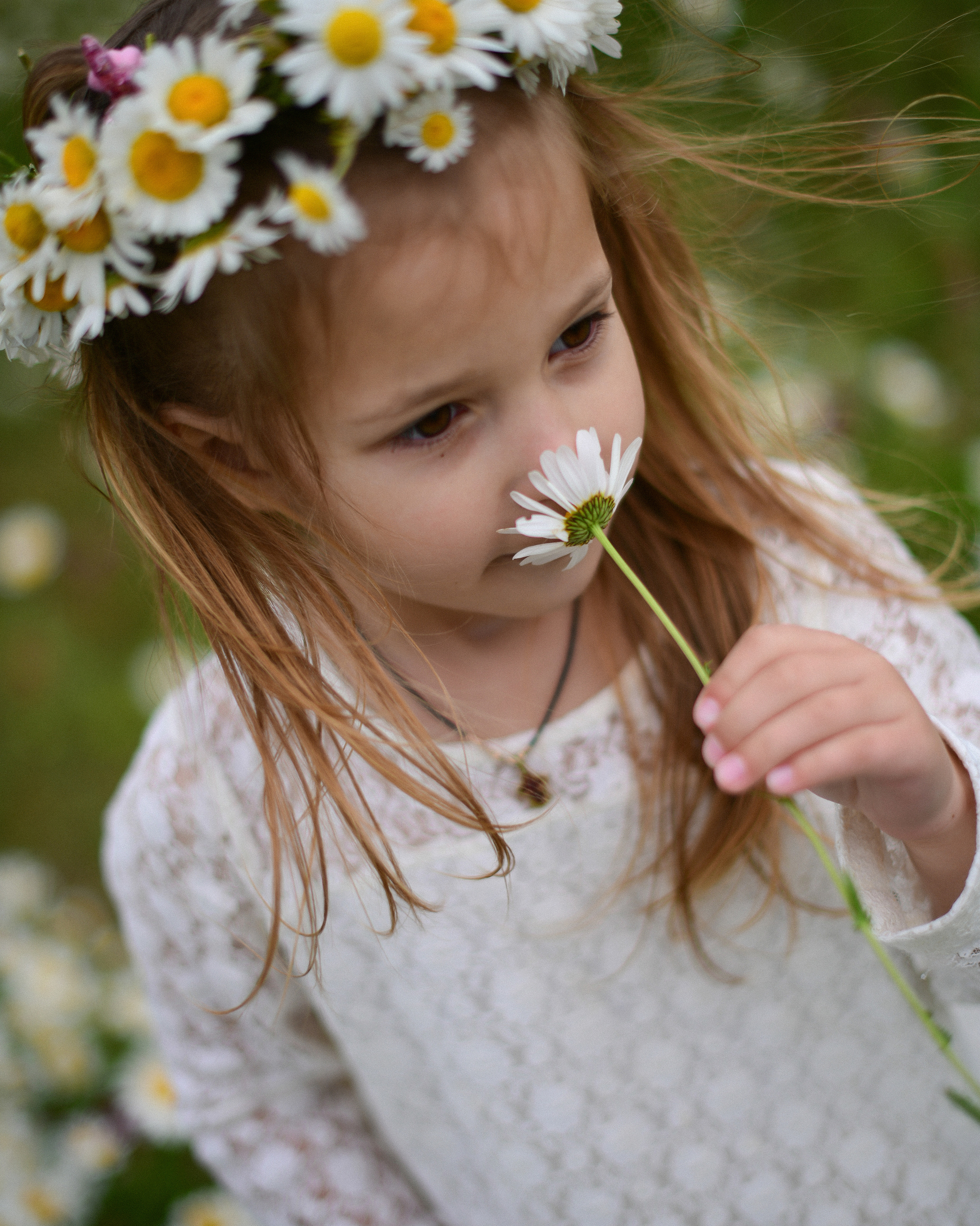 Ромашковые поля в Крыму. Фотограф Ирина Сахарчук Выпускные альбомы для детского сада и школы