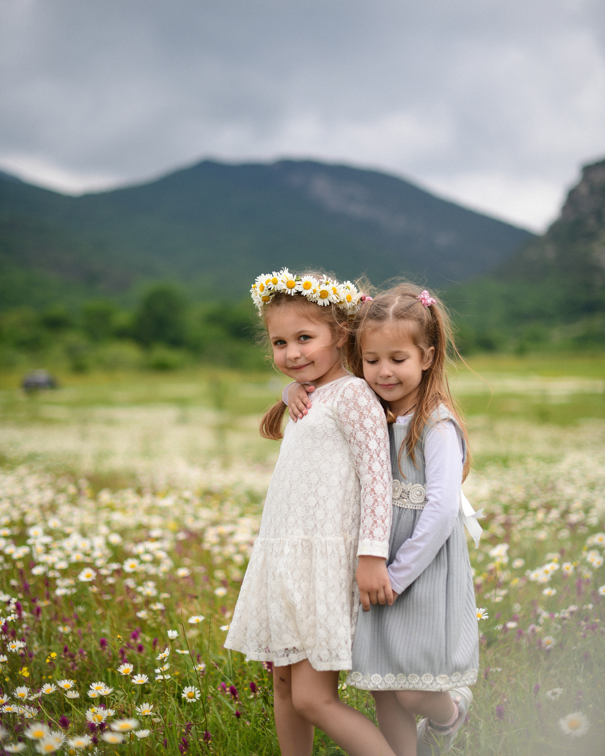 Ромашковые поля в Крыму. Фотограф Ирина Сахарчук Выпускные альбомы для детского сада и школы