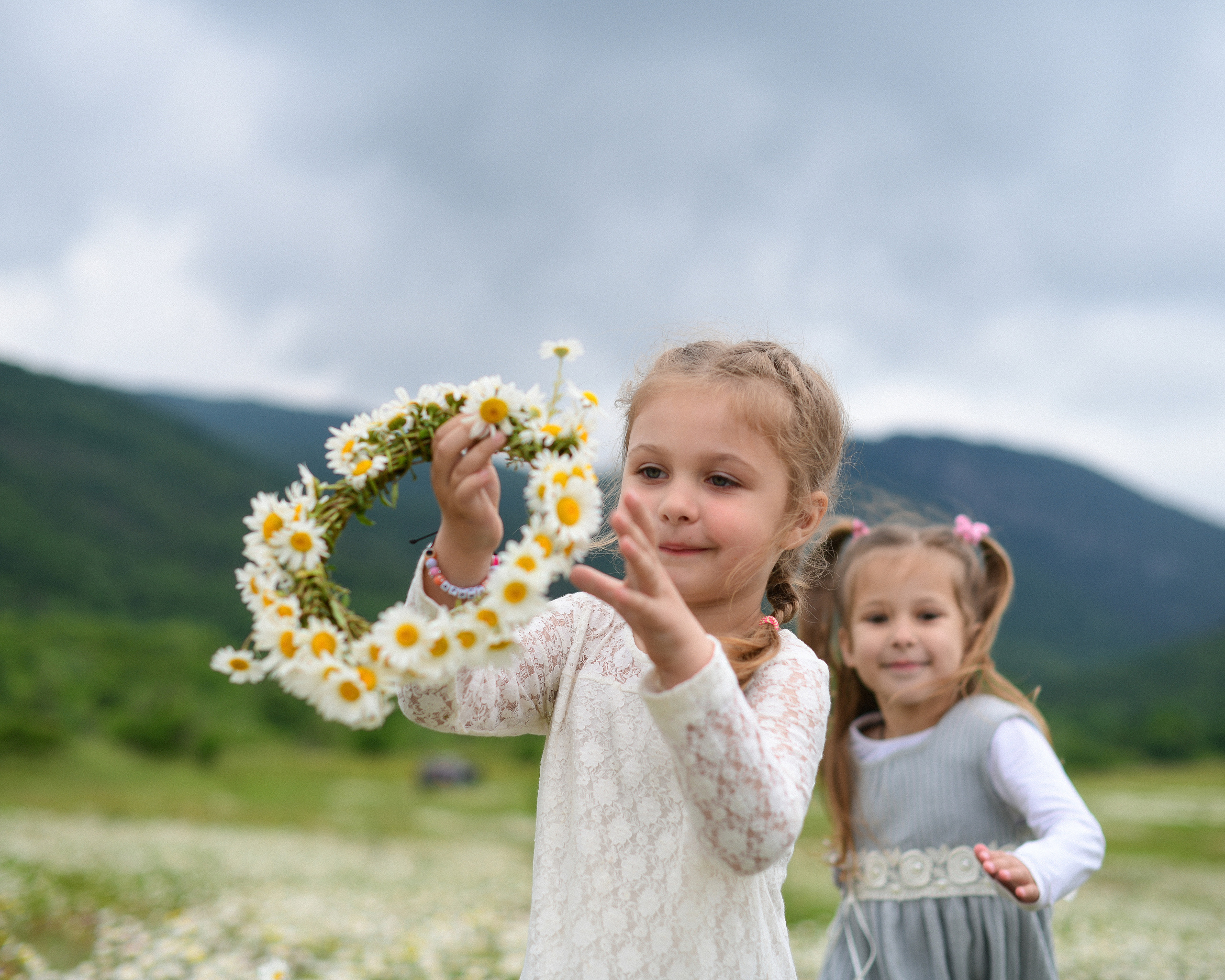 Ромашковые поля в Крыму. Фотограф Ирина Сахарчук Выпускные альбомы для детского сада и школы