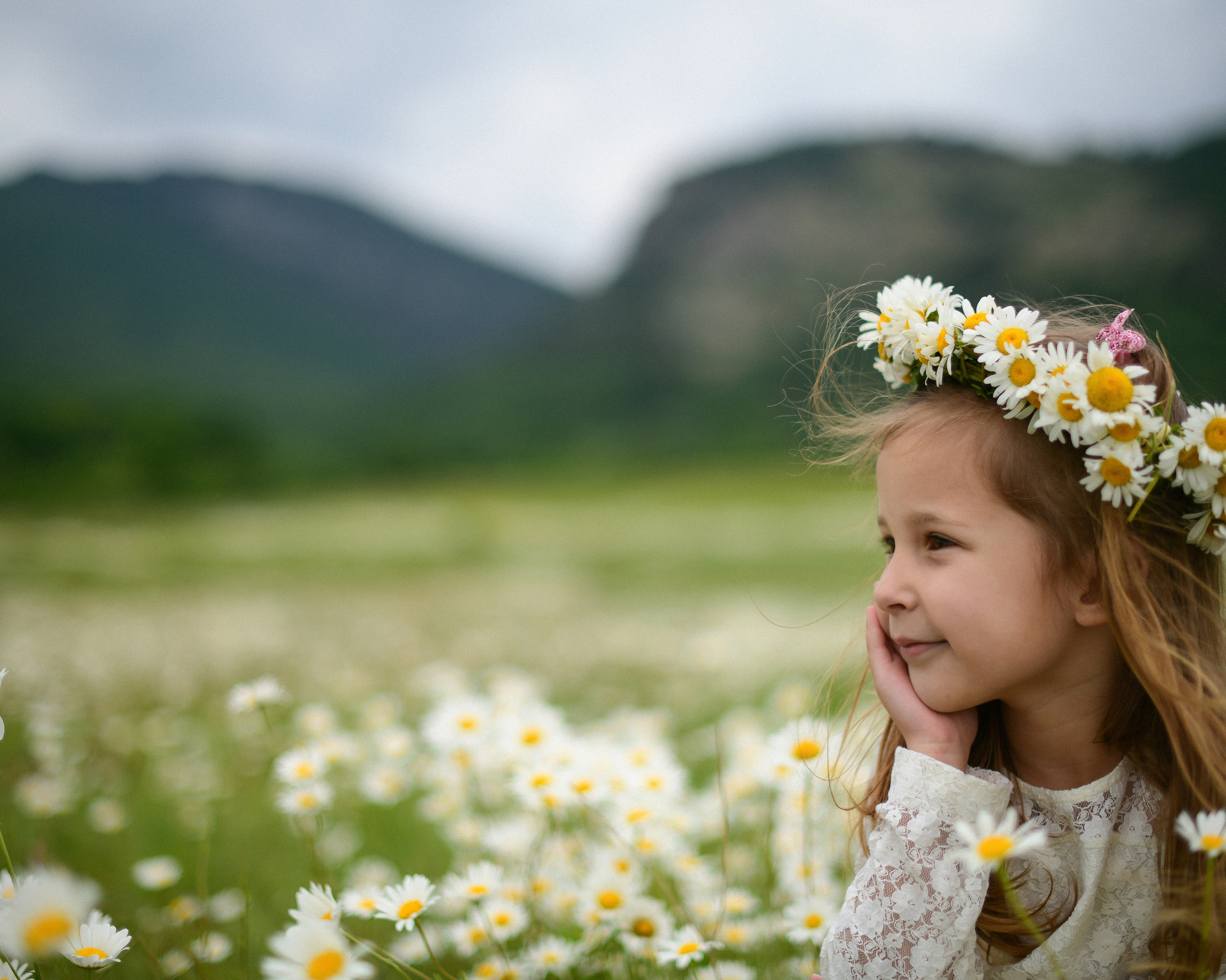 Ромашковые поля в Крыму. Фотограф Ирина Сахарчук Выпускные альбомы для детского сада и школы