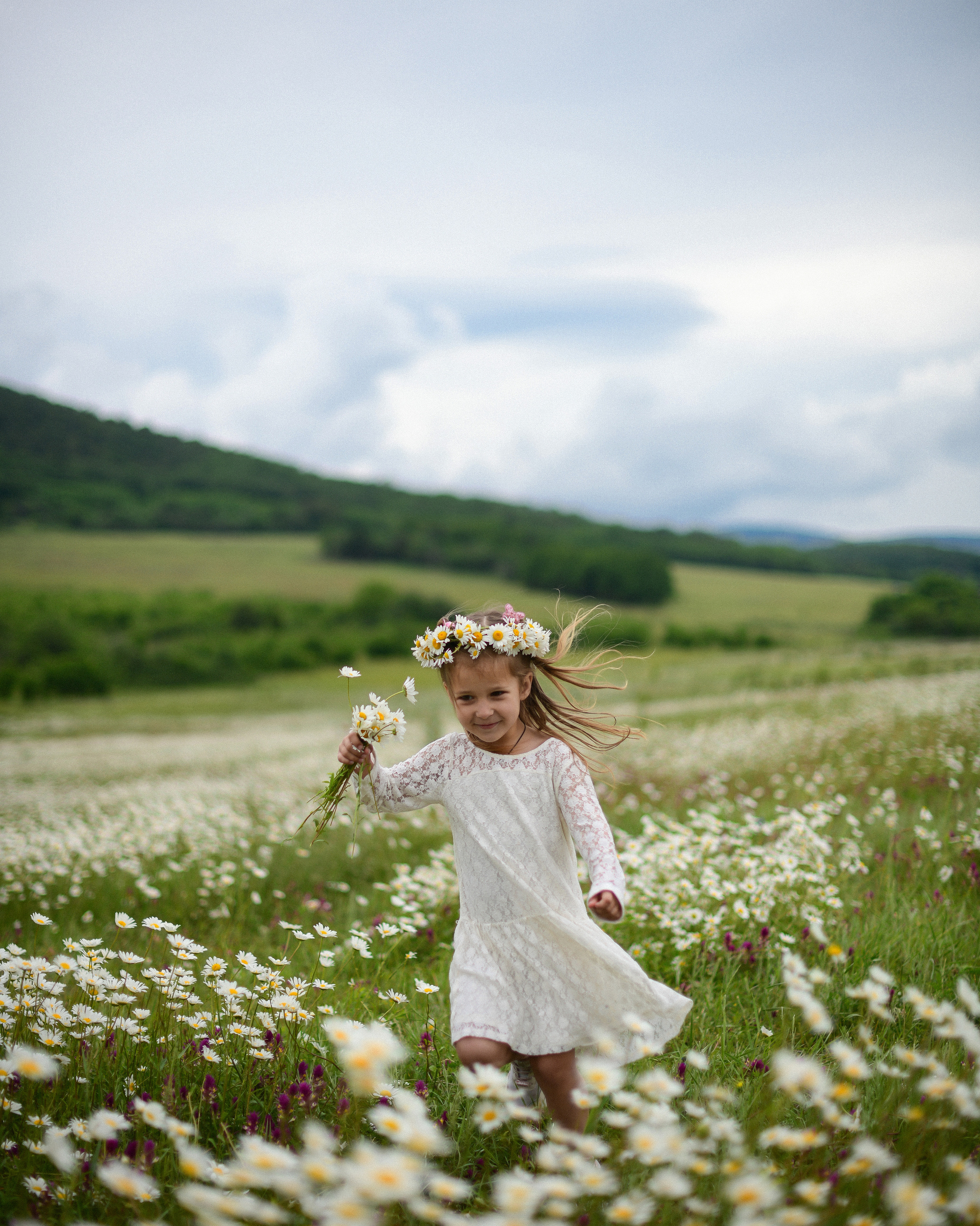 Ромашковые поля в Крыму. Фотограф Ирина Сахарчук Выпускные альбомы для детского сада и школы