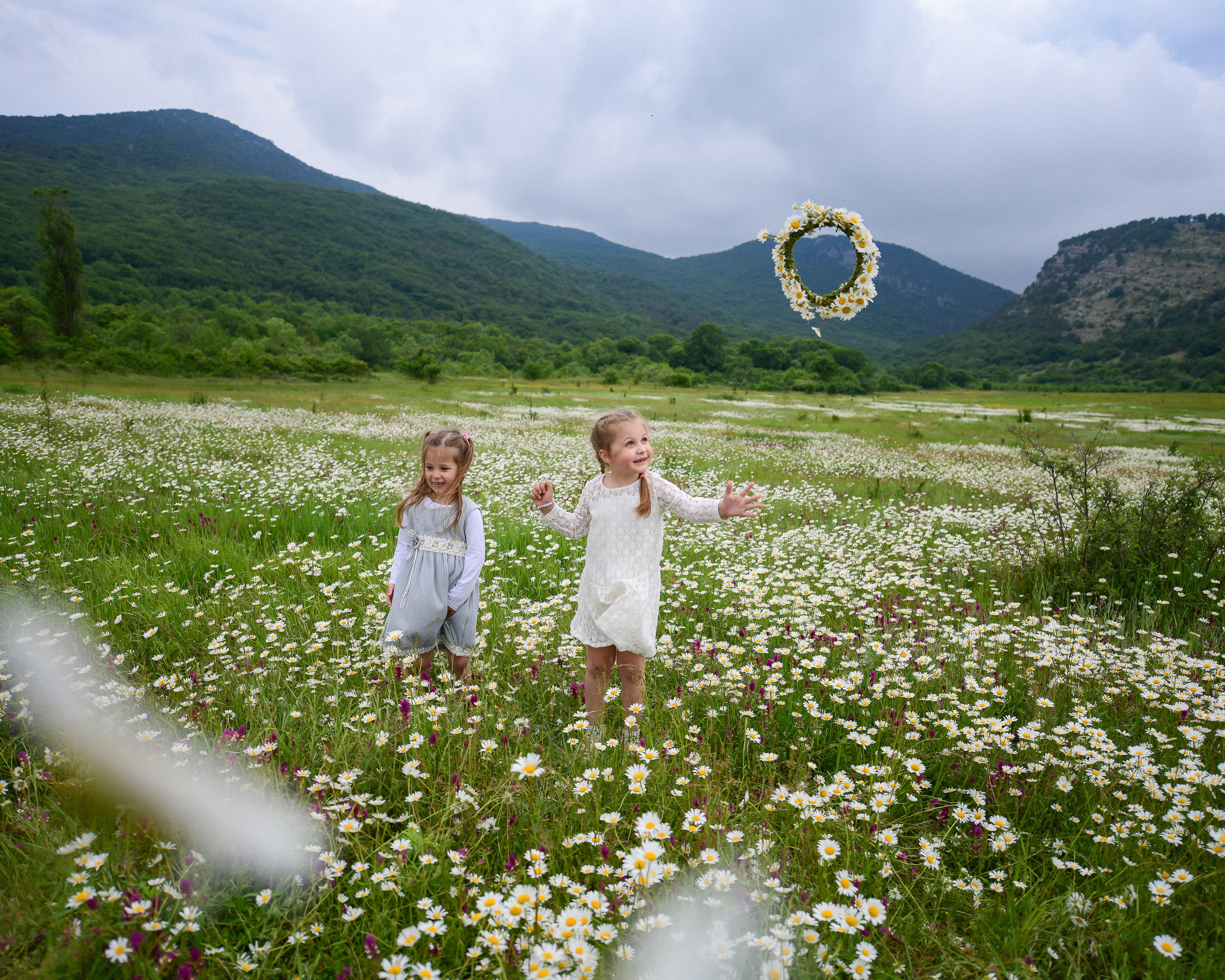 Ромашковые поля в Крыму. Фотограф Ирина Сахарчук Выпускные альбомы для детского сада и школы