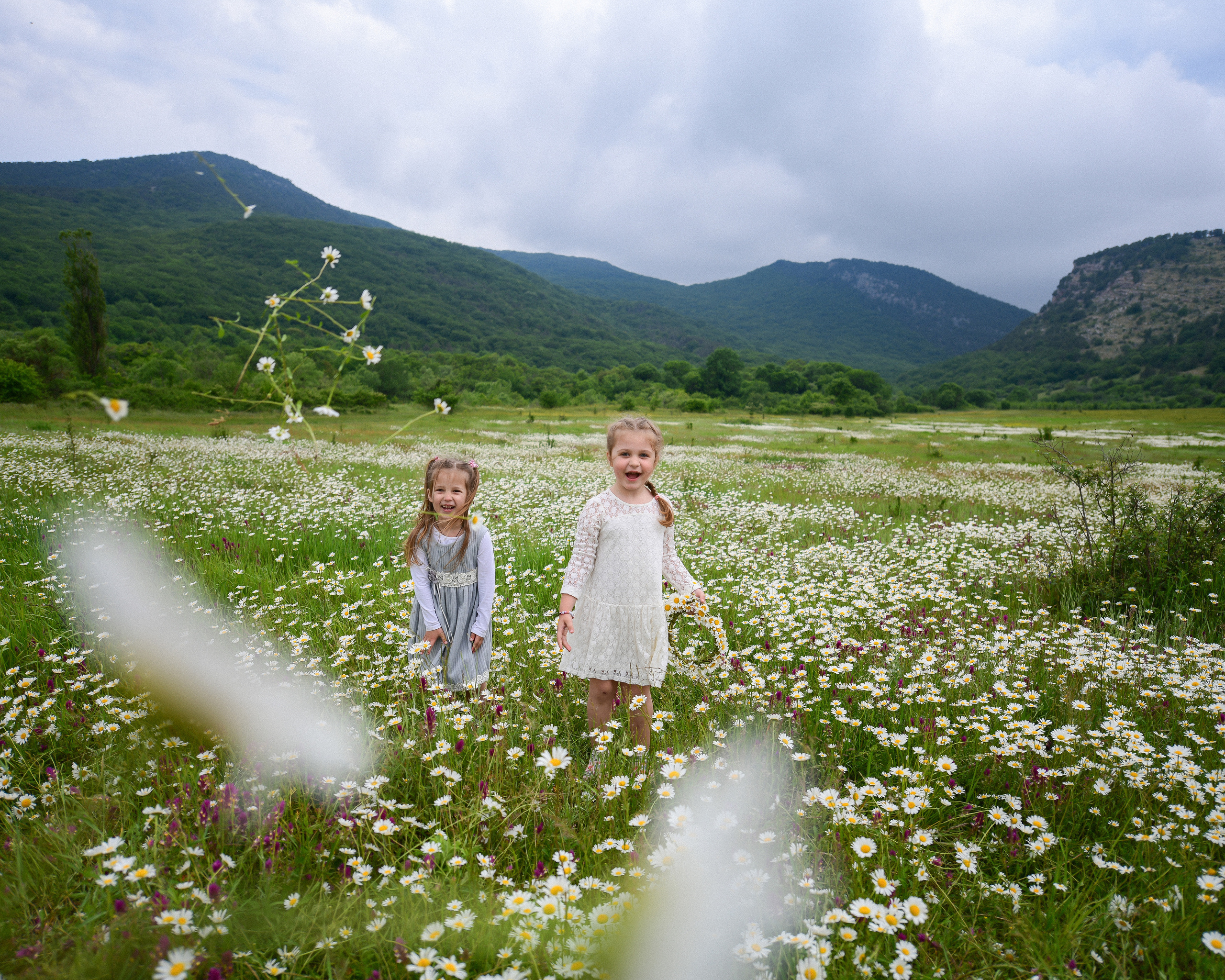 Ромашковые поля в Крыму. Фотограф Ирина Сахарчук Выпускные альбомы для детского сада и школы