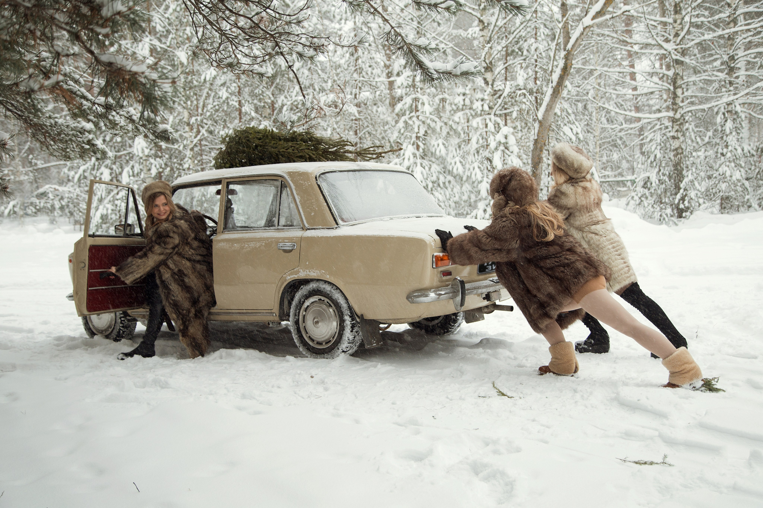 Новогодние. Фотограф Юля Шифельбаен г. Рязань