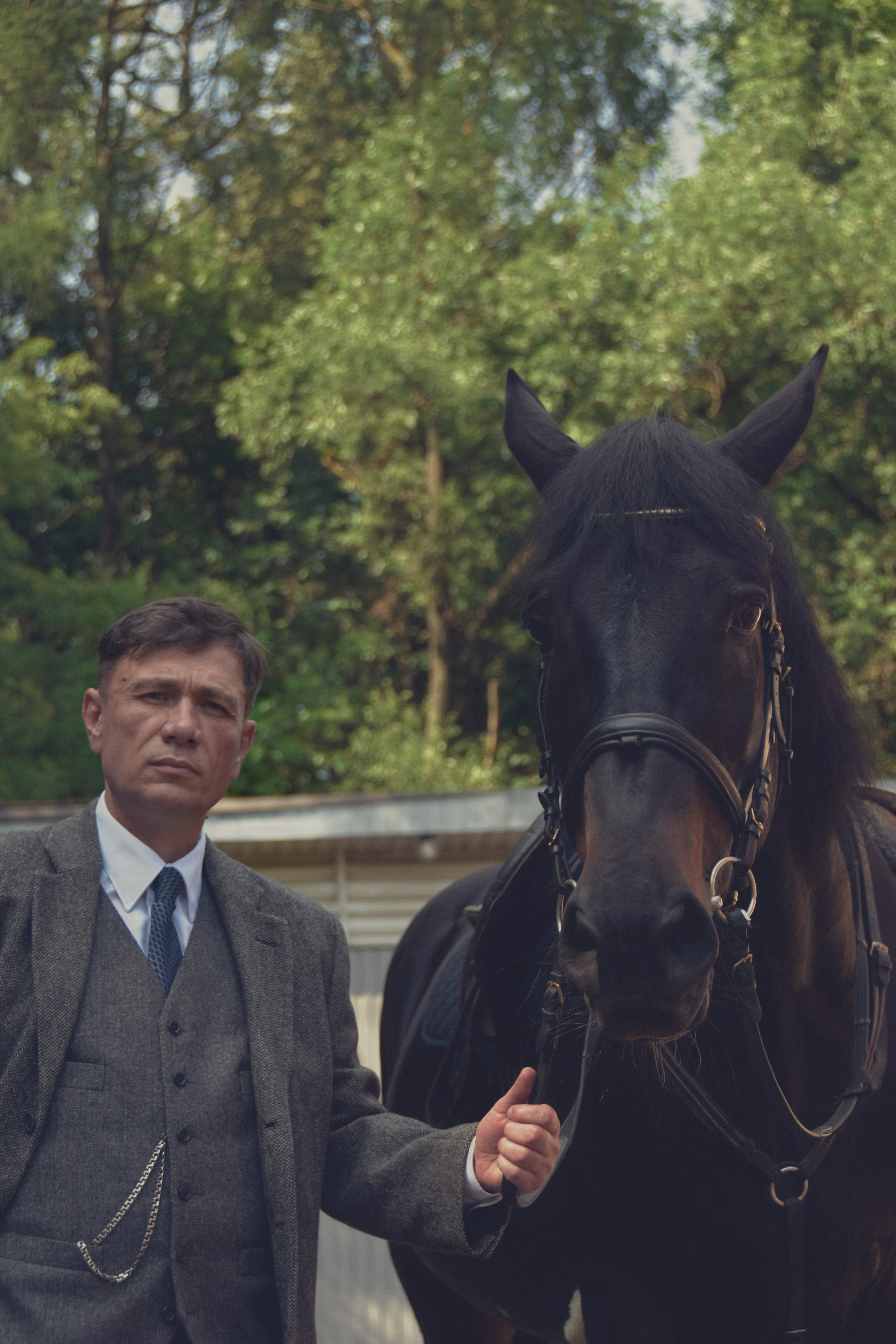 Рафаэль и Султан. Peaky Blinders. Конный фотограф Москва