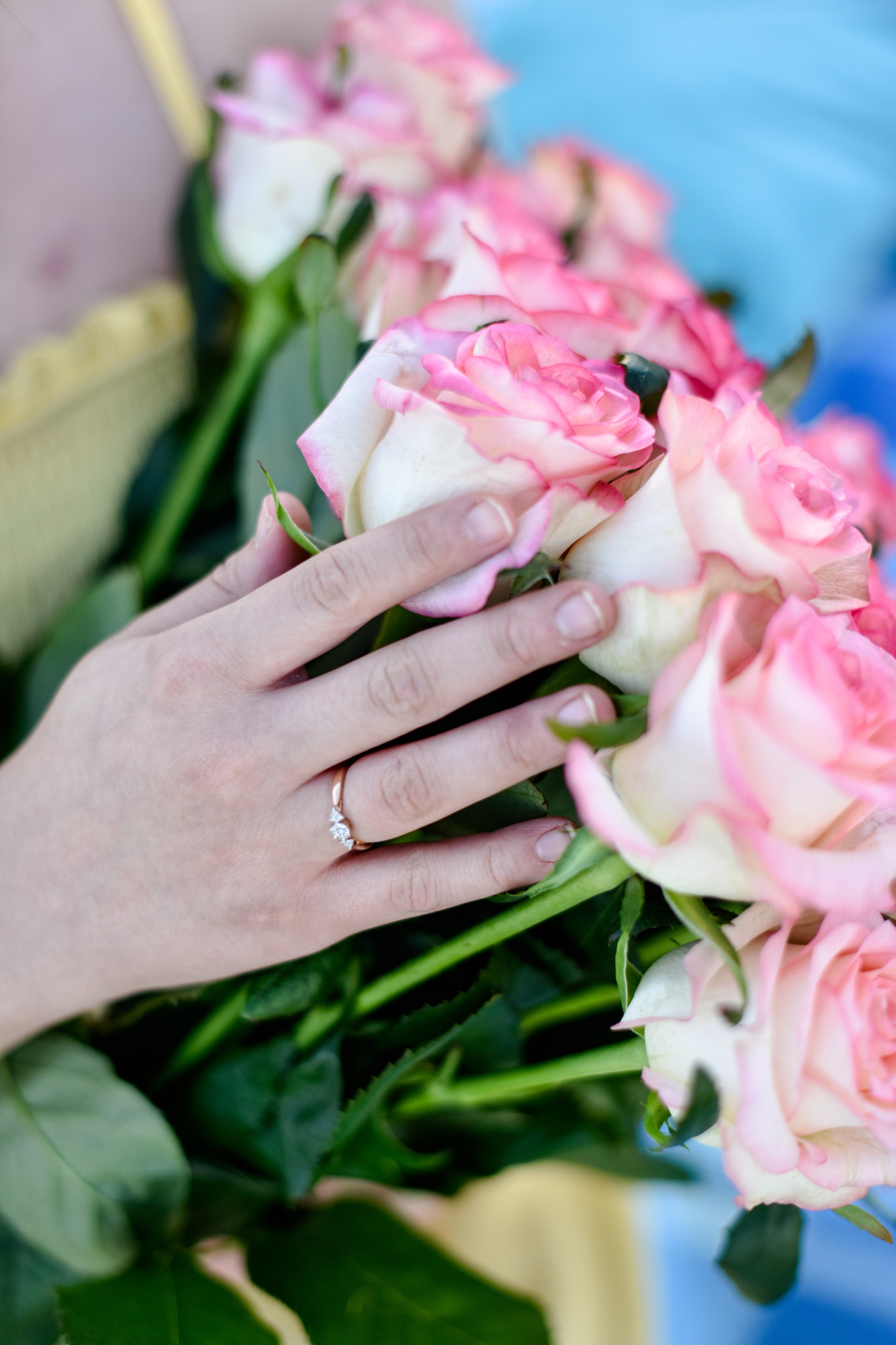 Предложение