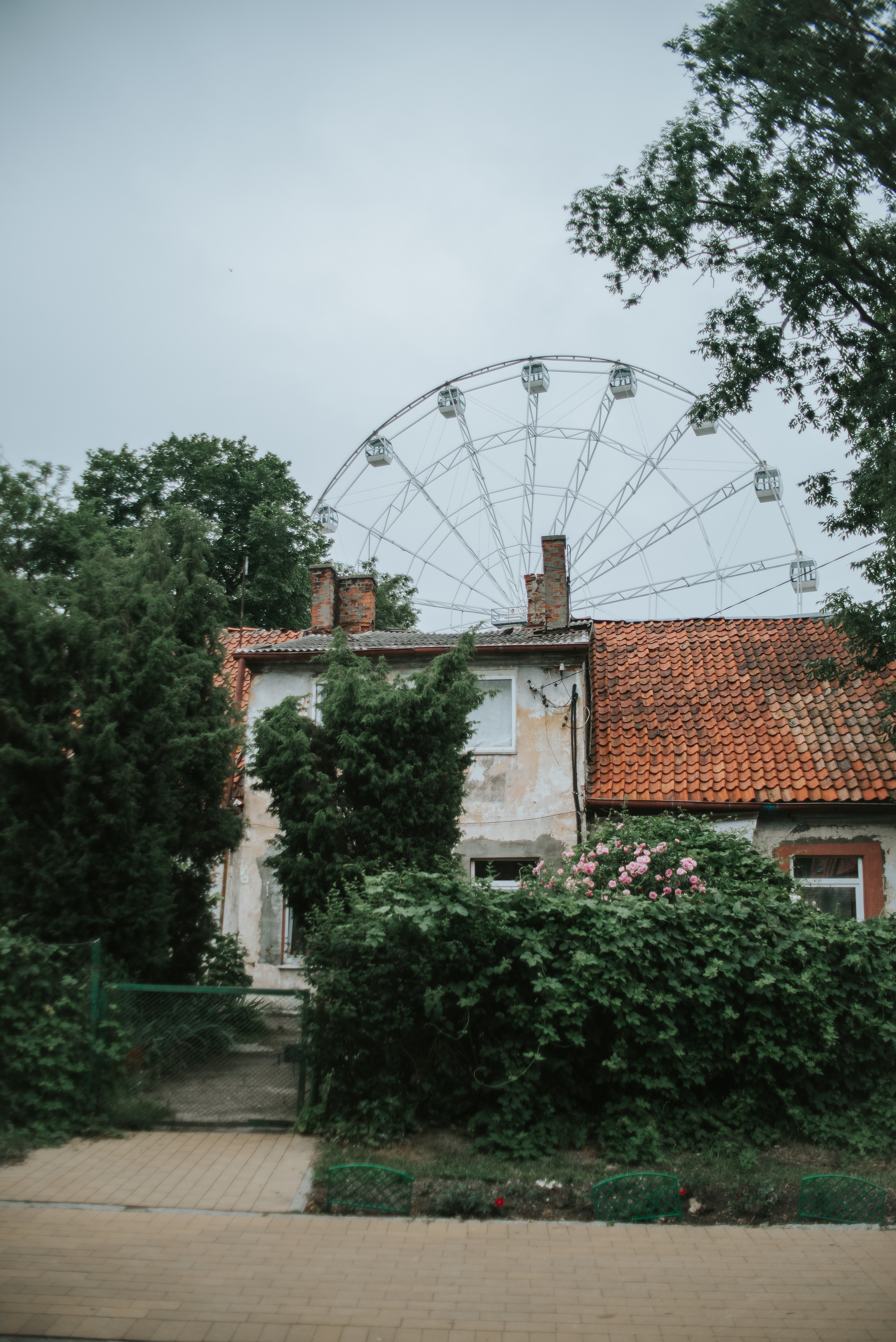 Семейный и детский фотограф Александра Архипова Москва