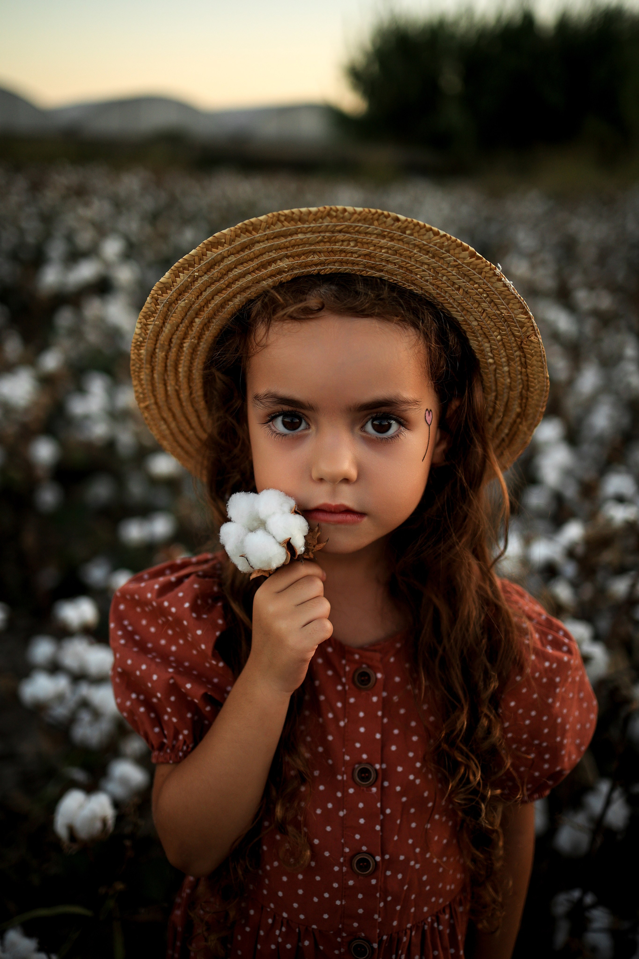 Photoshooting on cotton field