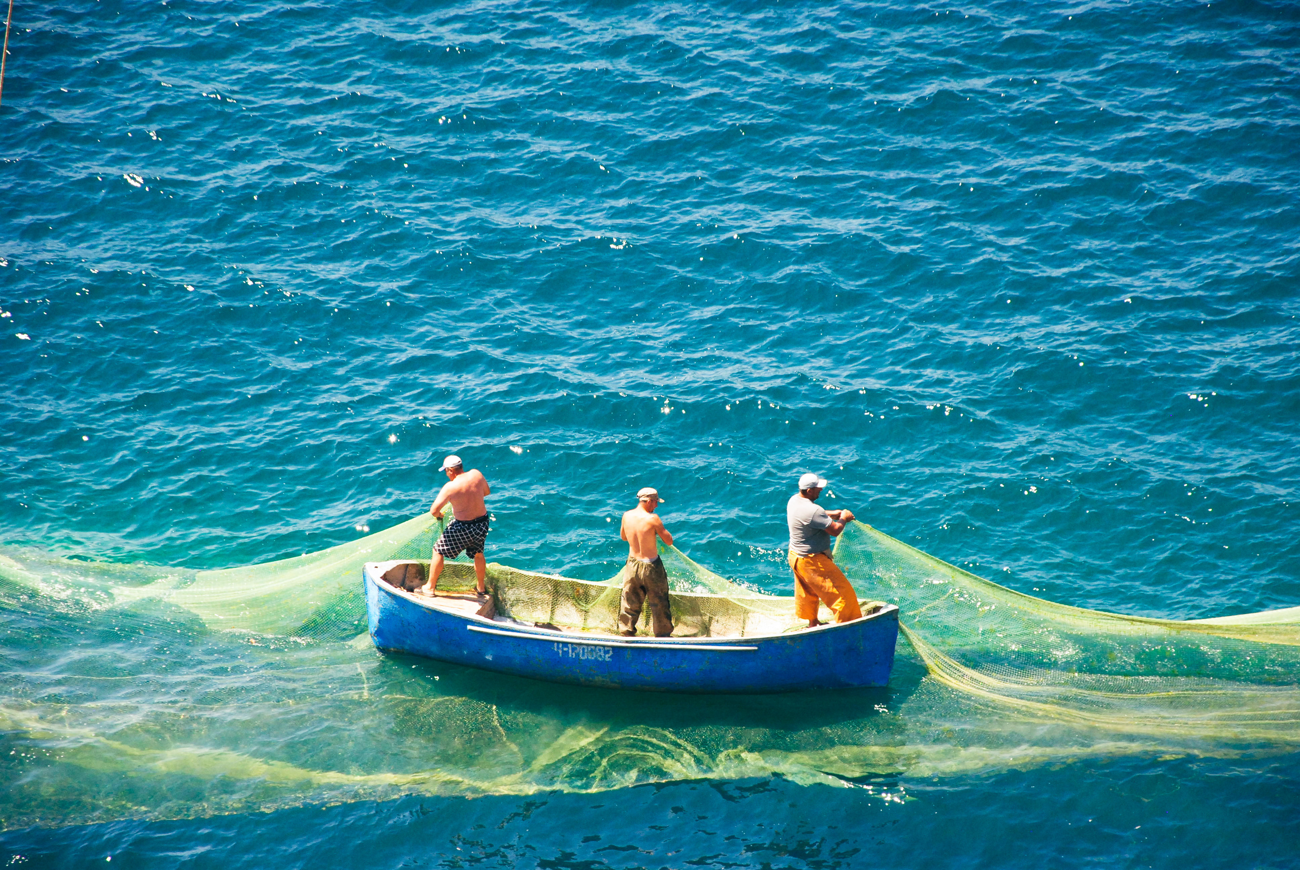 Рыбаки тянут невод в Черном море близ Оленевки в  Крыму
