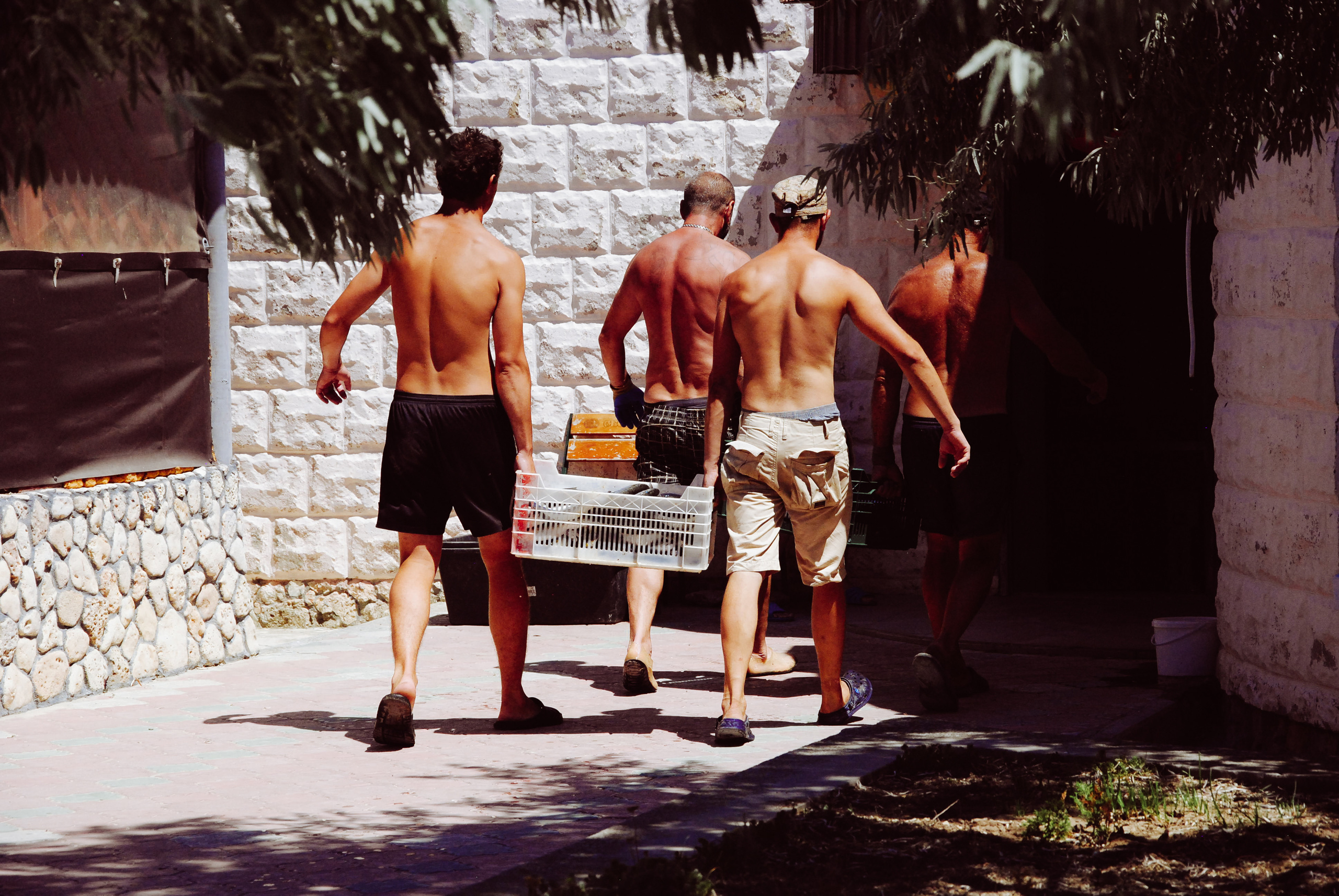 Фоторепортаж вылова неводом кефали в Крыму. Портретный фотограф в Краснодаре Надежда Елынко