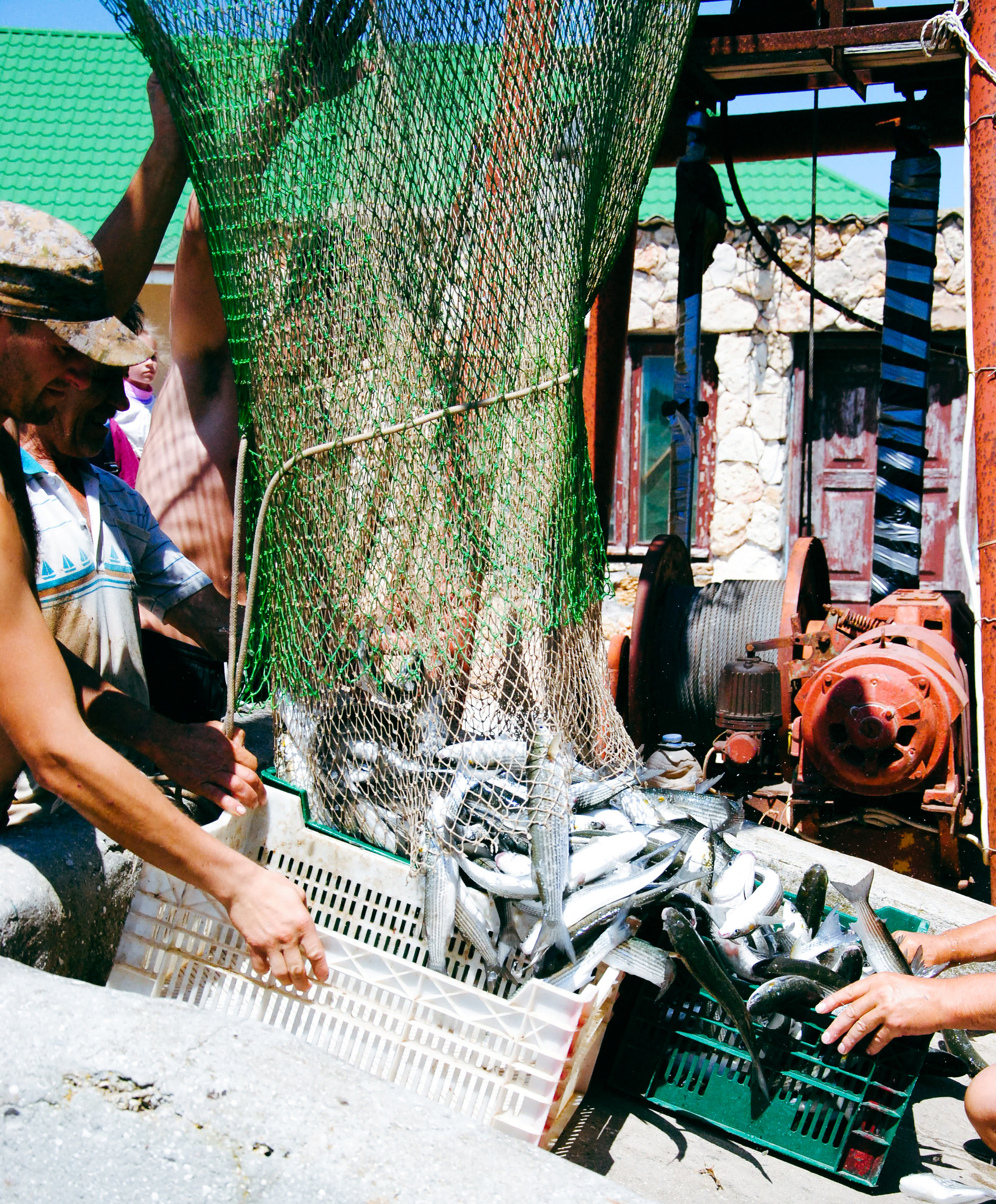 Фоторепортаж вылова неводом кефали в Крыму. Портретный фотограф в Краснодаре Надежда Елынко
