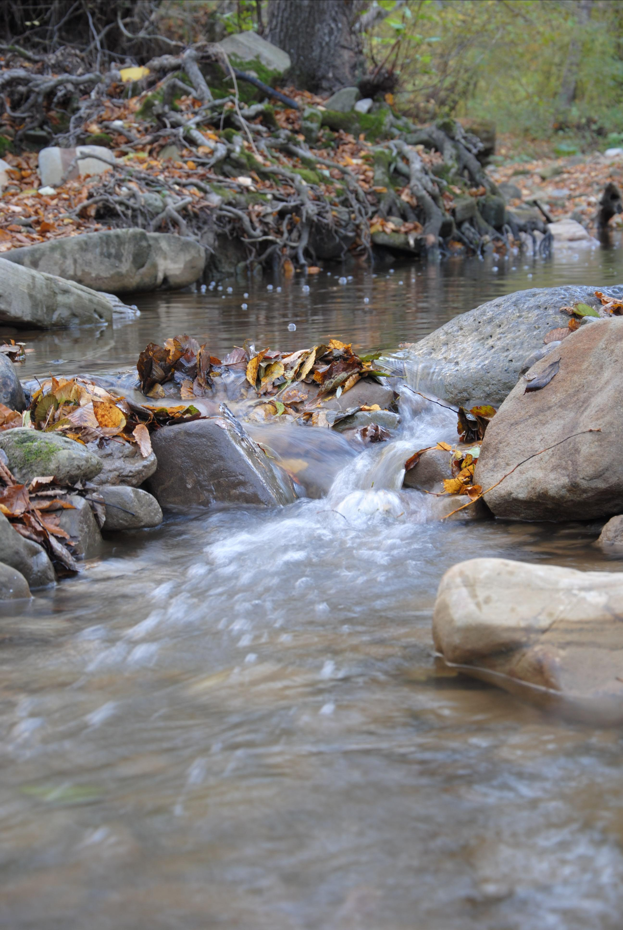 Красивые перекаты воды в осеннем лесу