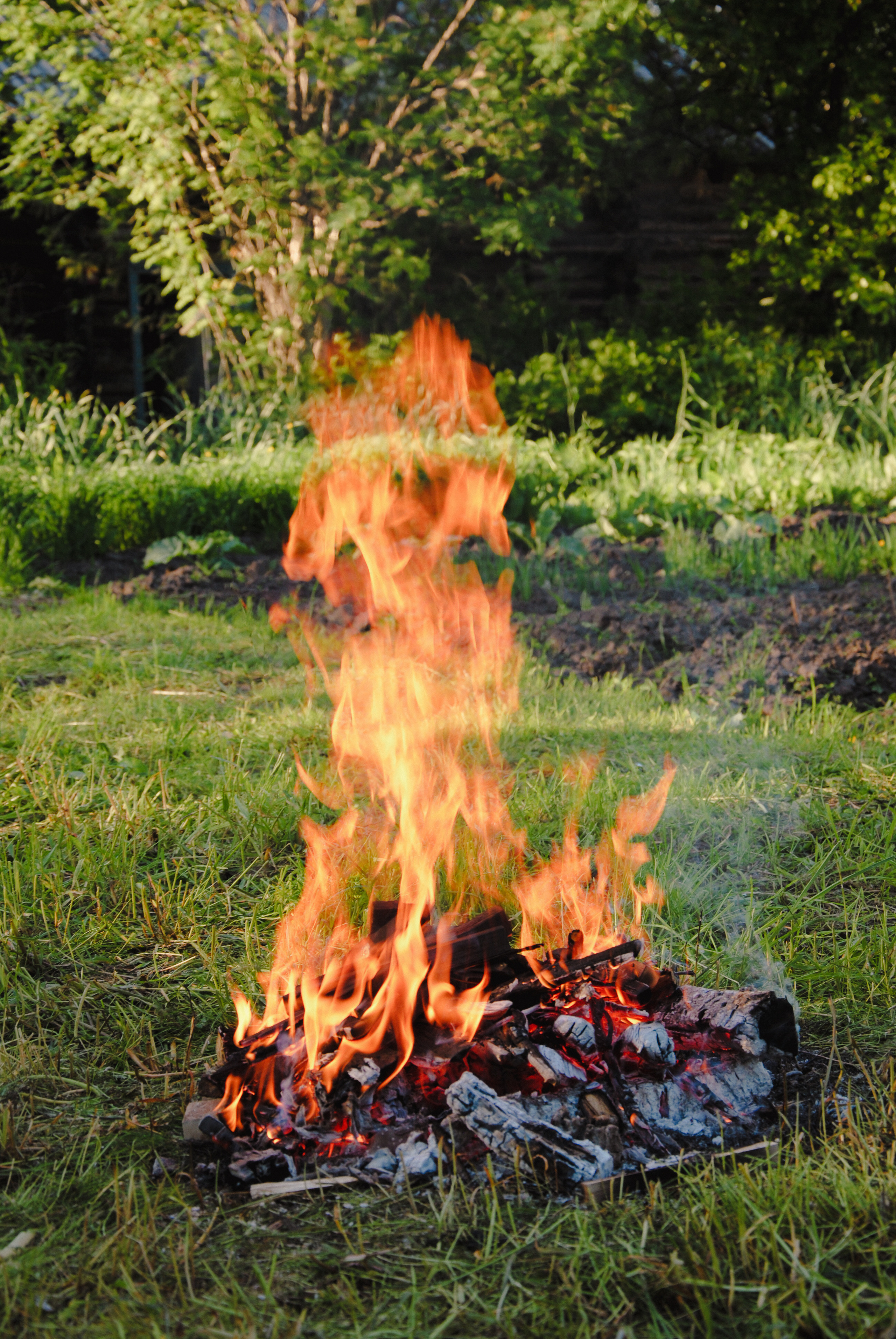 Вот так и проходил праздник Ивана Купалы — в разгульных обрядах, гаданиях и прочих веселых и милых шалостях в деревне Федьковский Починок Архангельской области…
