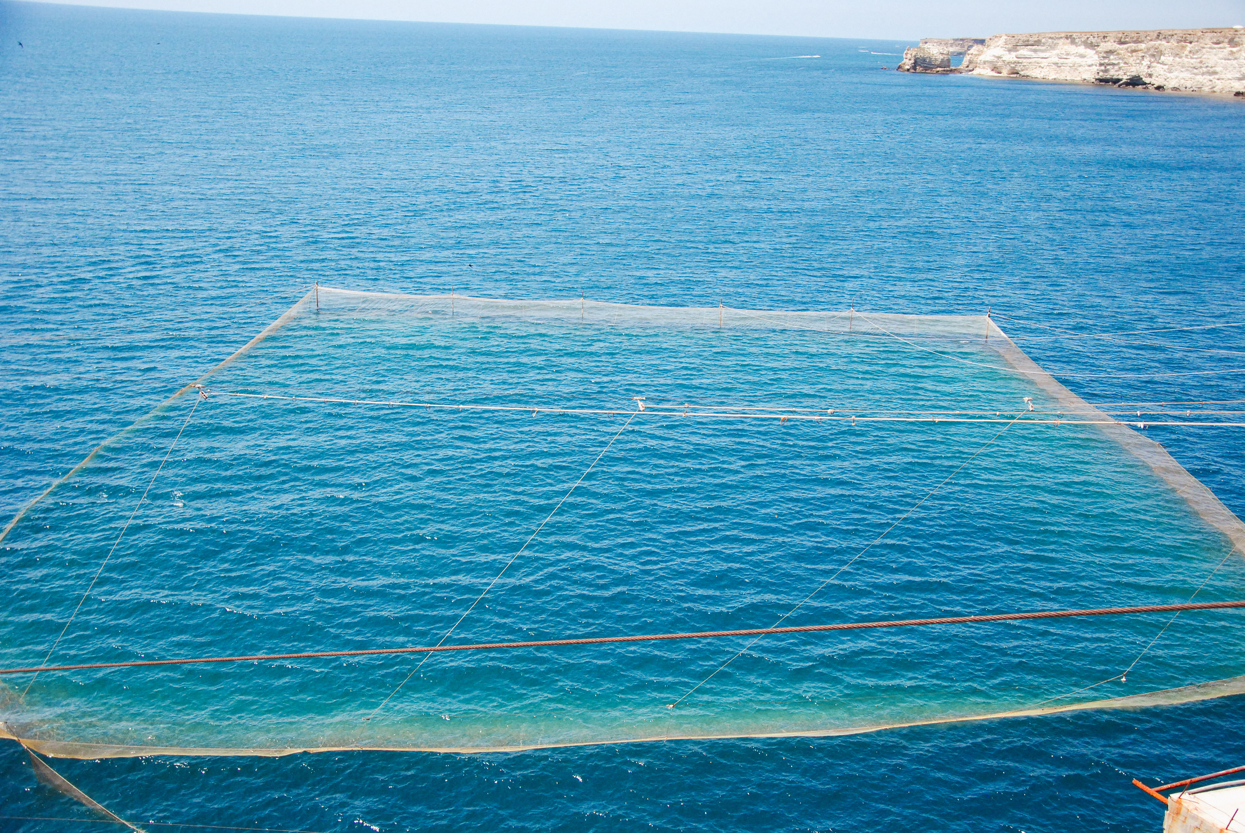 Три края рыболовной сети приподняты, а четвертый край сети лежит на дне Черного моря