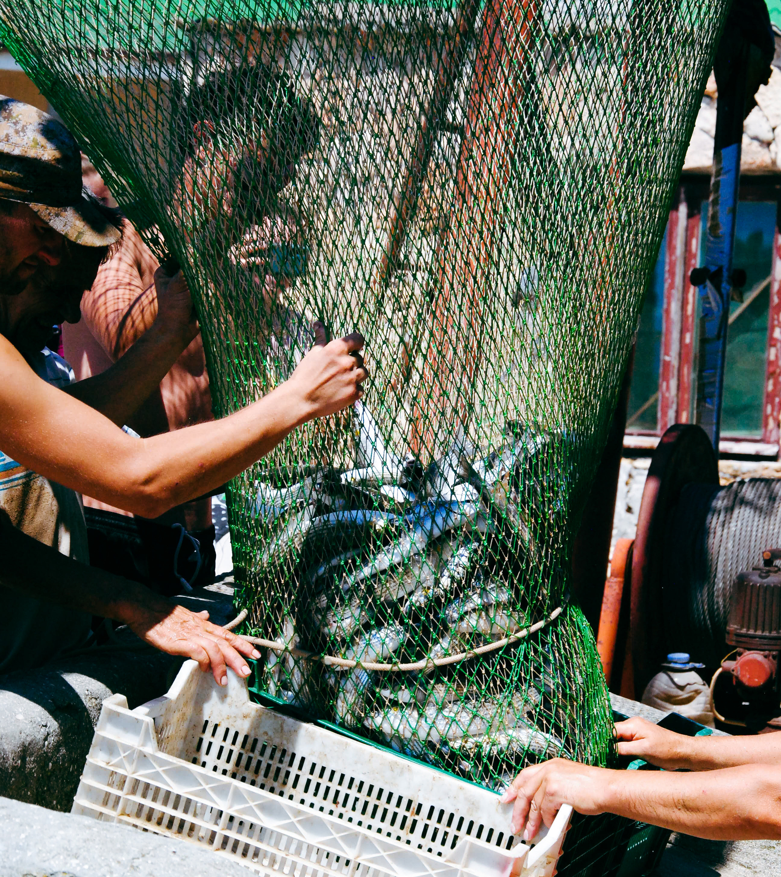 Фоторепортаж вылова неводом кефали в Крыму. Портретный фотограф в Краснодаре Надежда Елынко