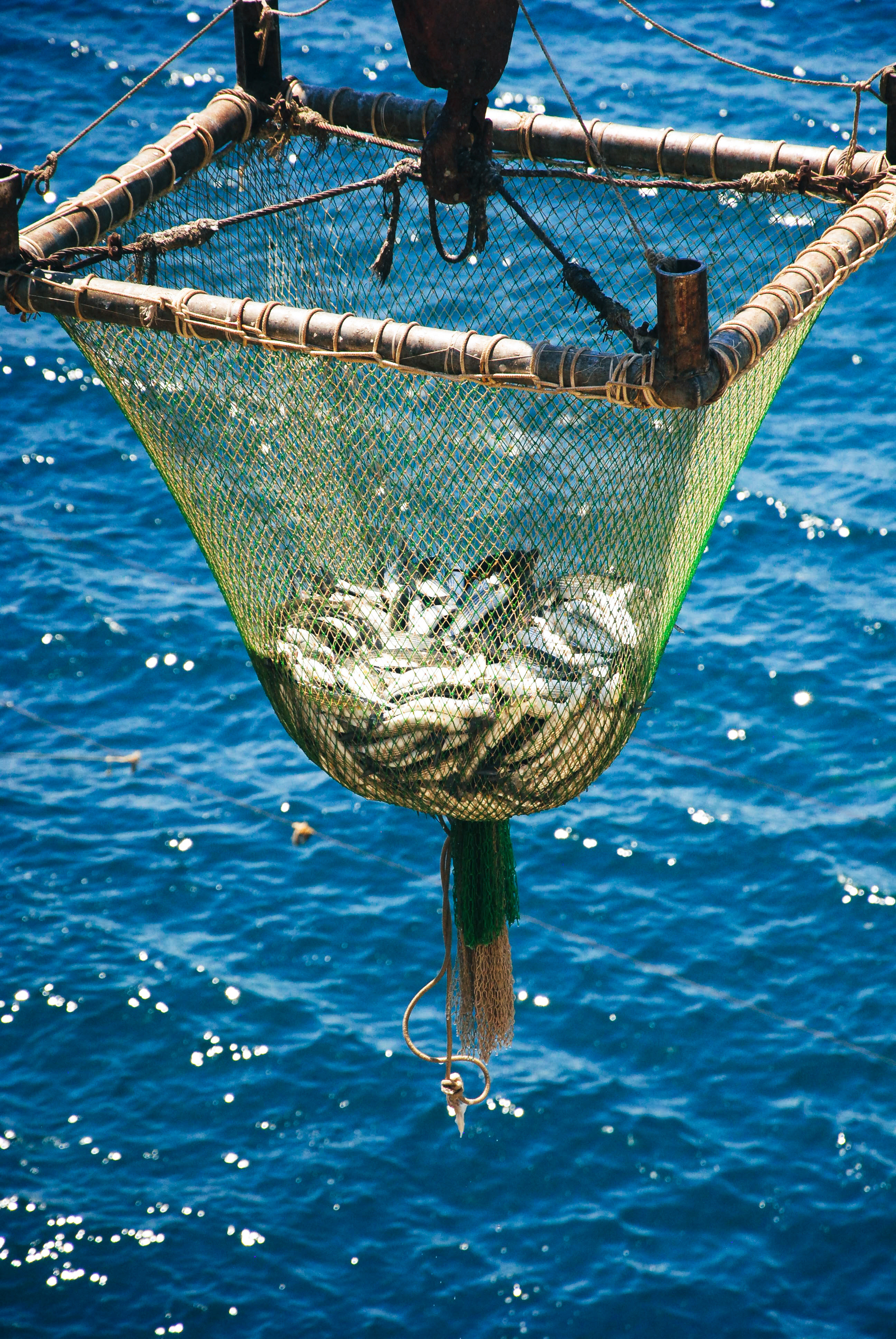 С давних времен этот участок облюбовали рыбаки.