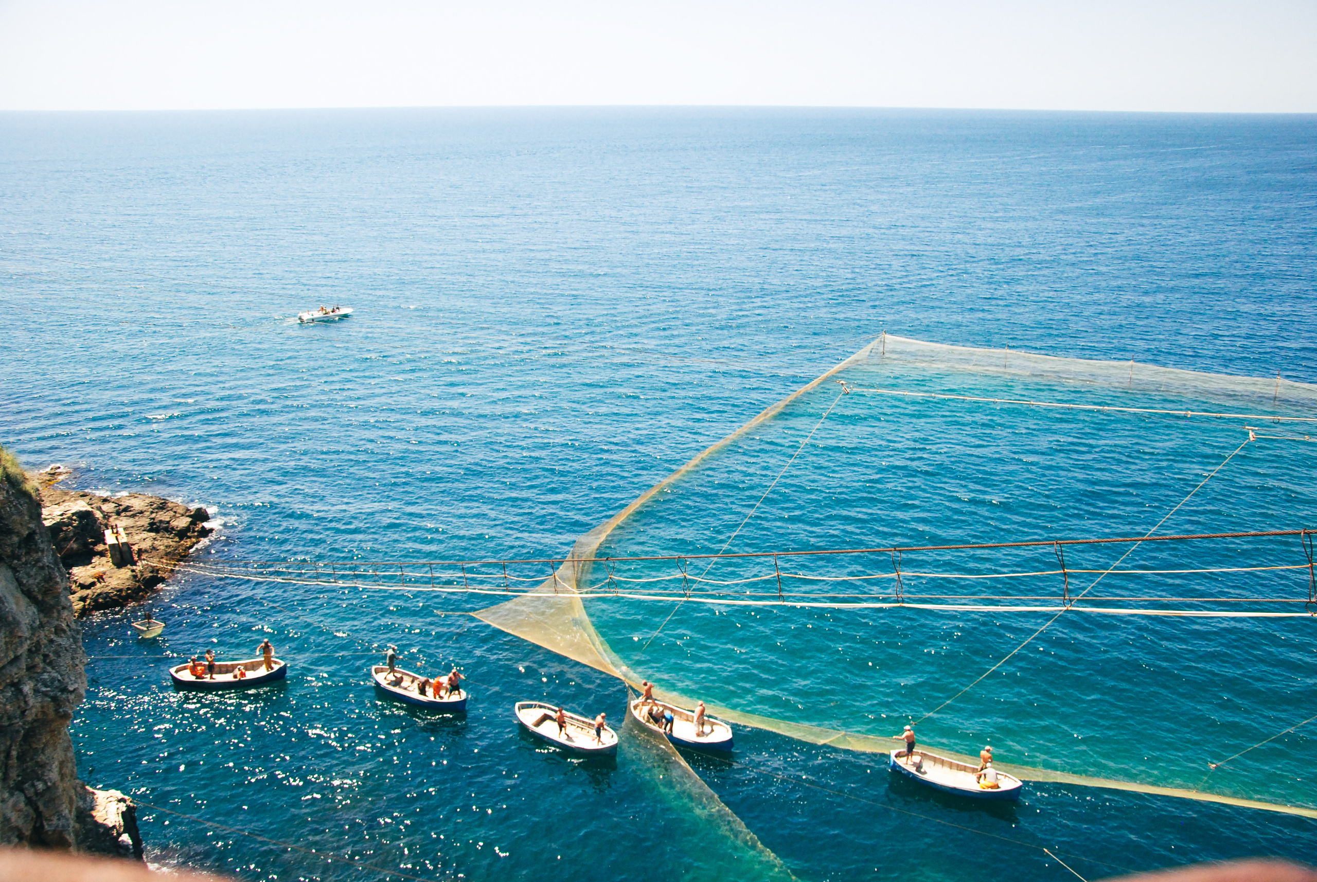 Когда косяк рыбы пойман, на баркасах рыбаки выходят к сети в Черное море