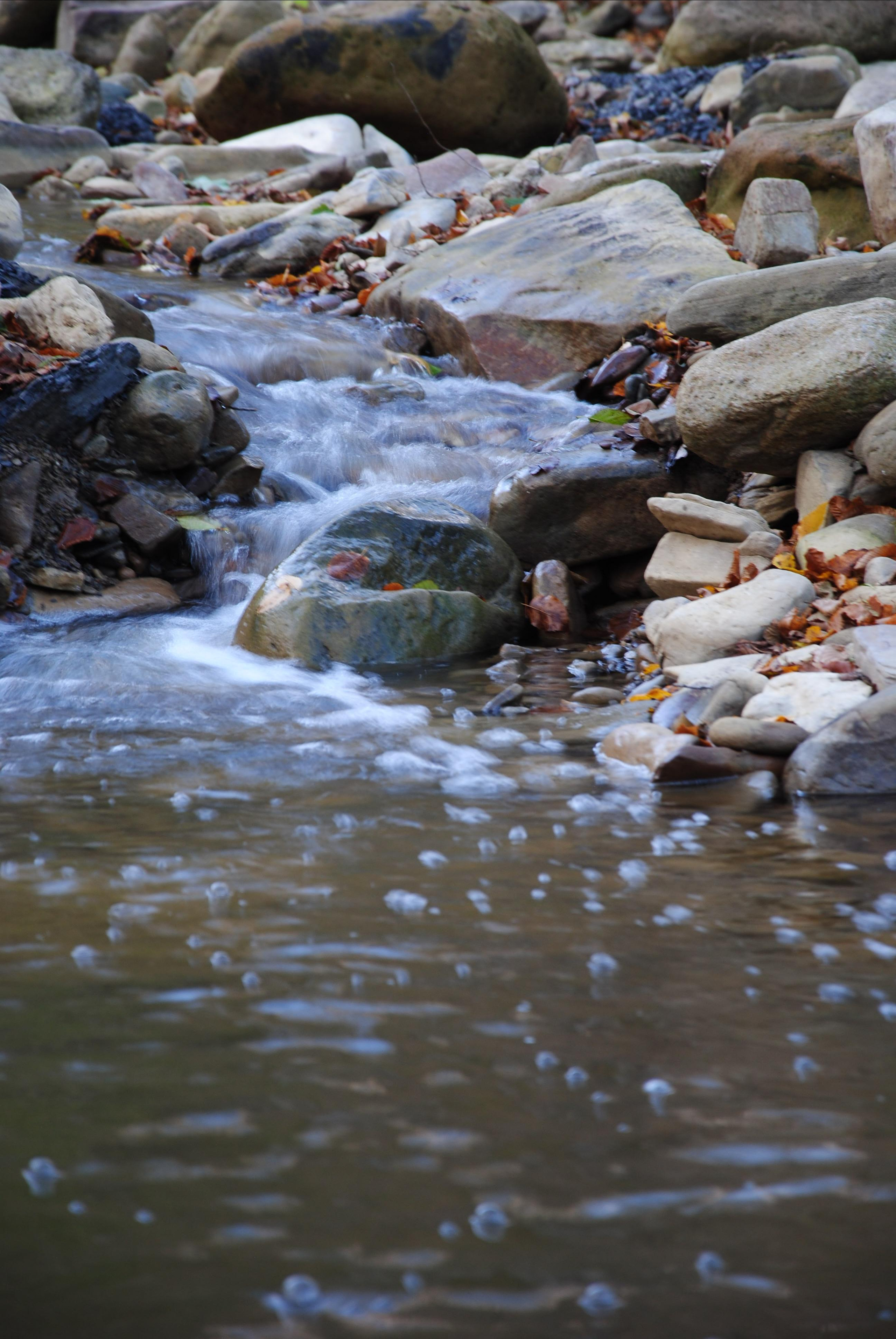 Спокойная река Убинка осенью с перекатами воды и пузырьками
