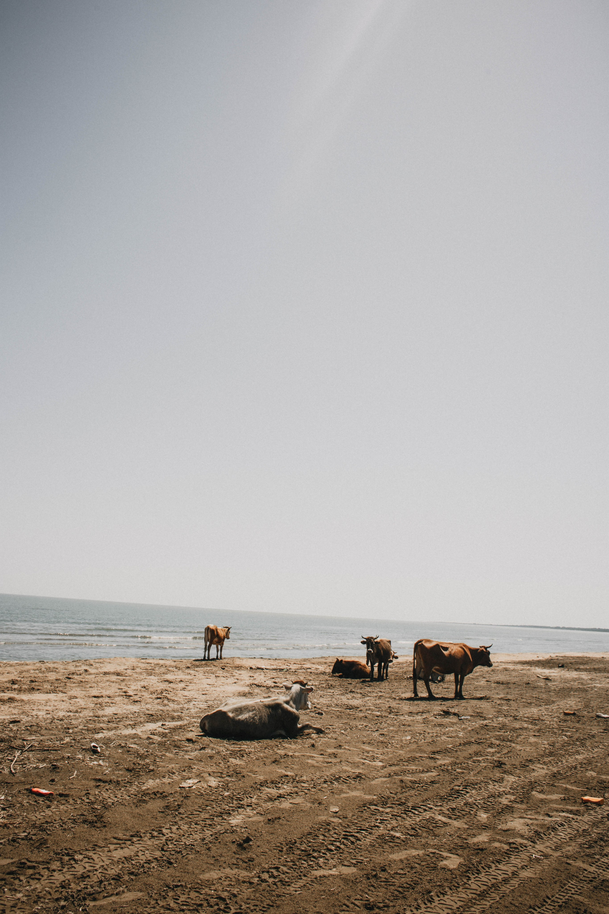 Дагестан. Чечня. 2024. Фотограф в Нижнем Новгороде