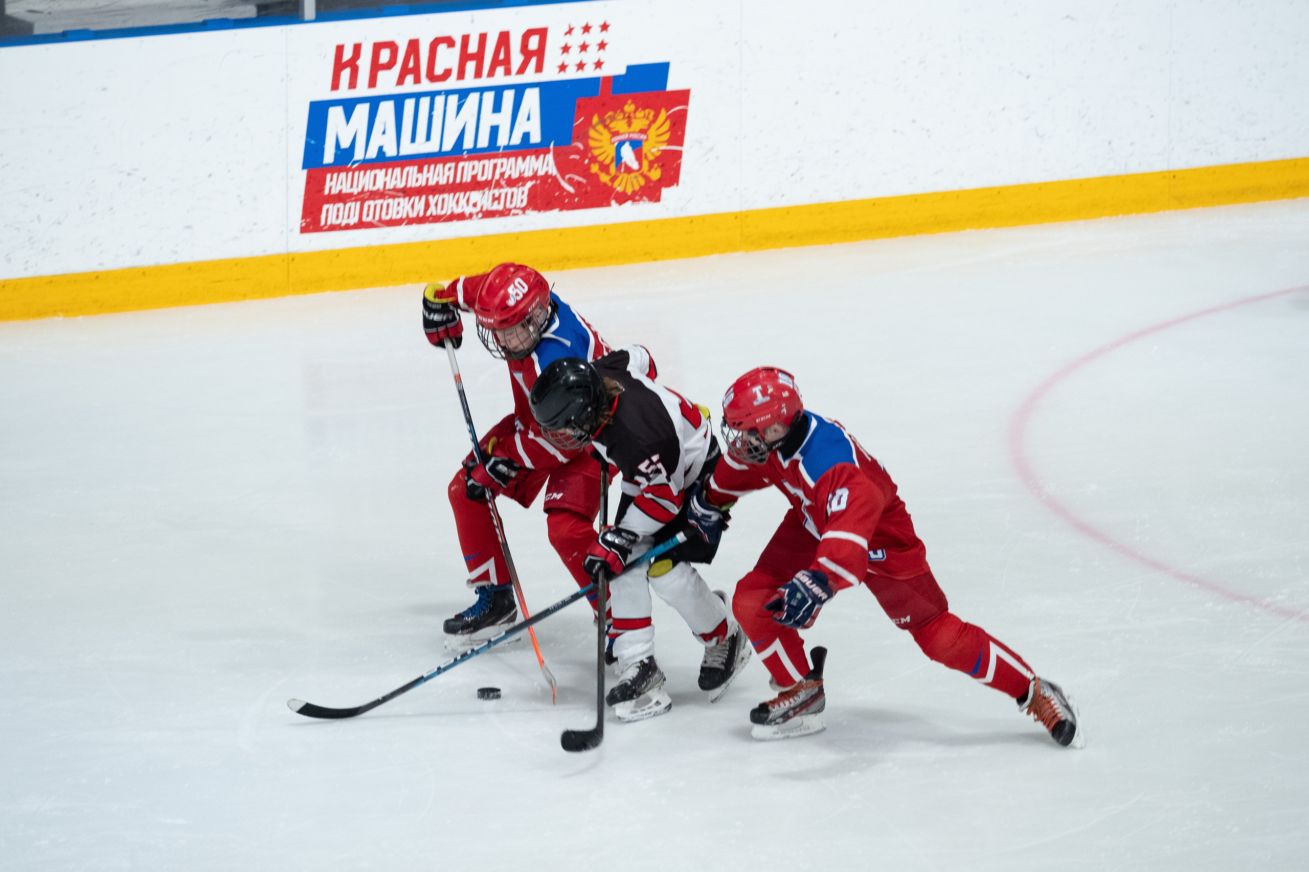 Спорт. Выпускные альбомы в Ярославле и Ярославской области Ярко Фото