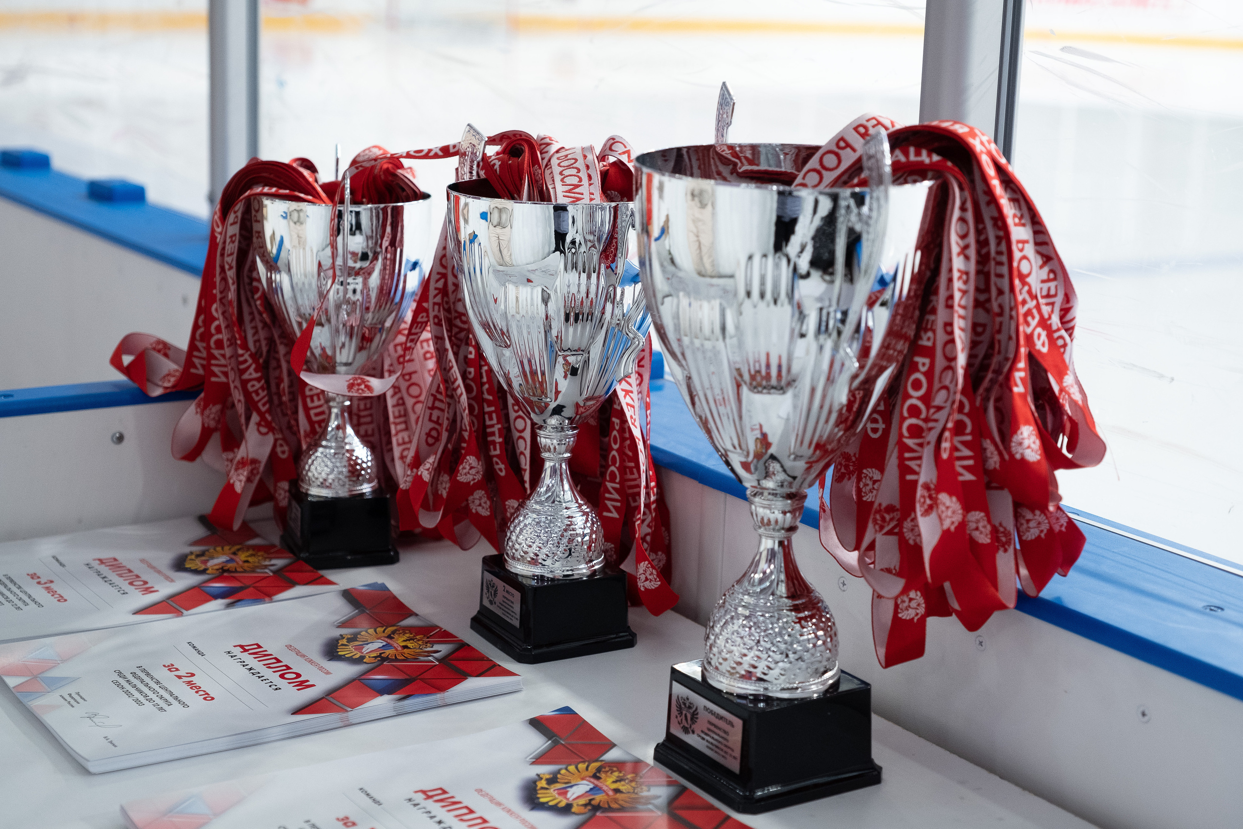 Спорт. Выпускные альбомы в Ярославле и Ярославской области Ярко Фото