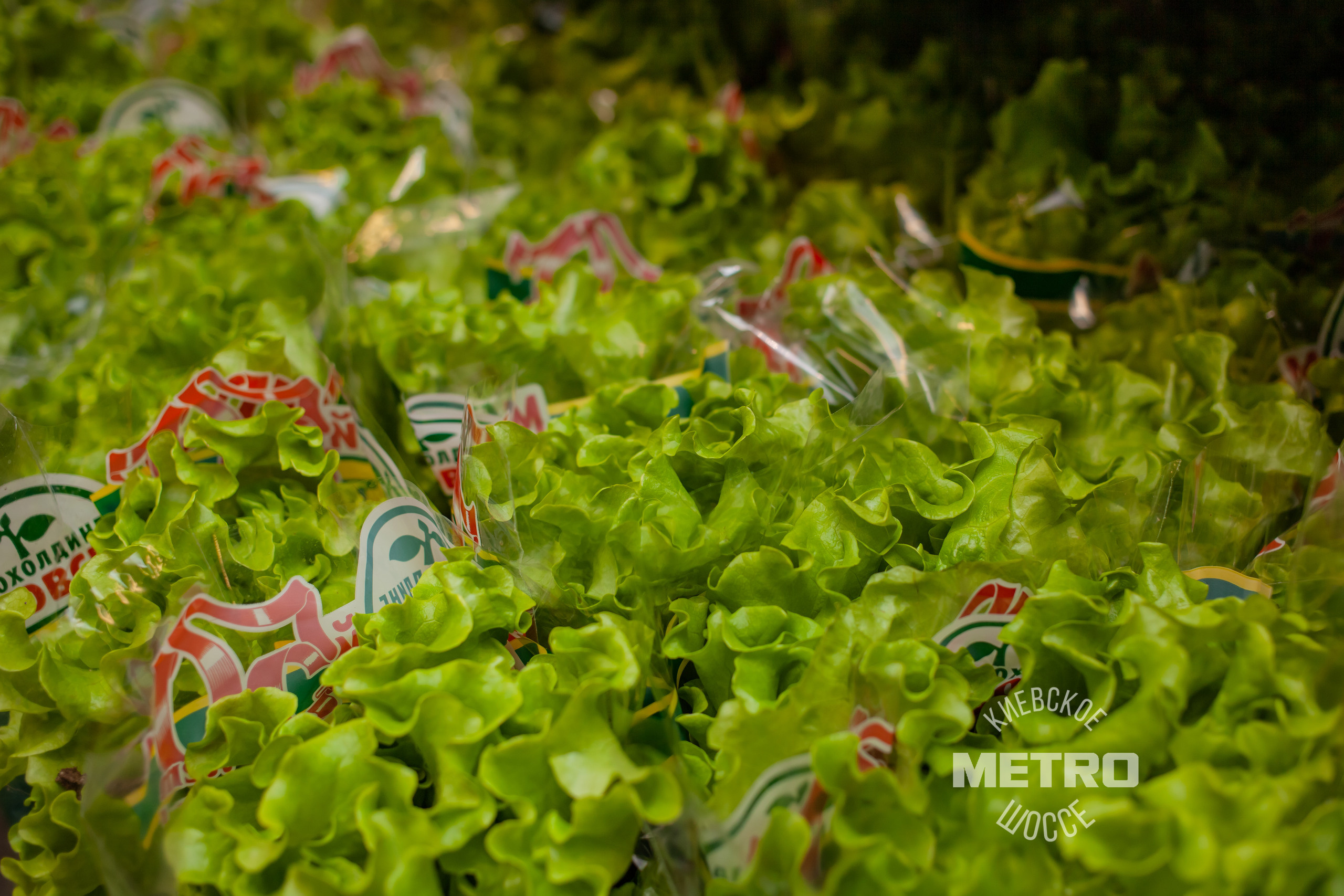 МЕТРО. Фотограф Алина Гашникова