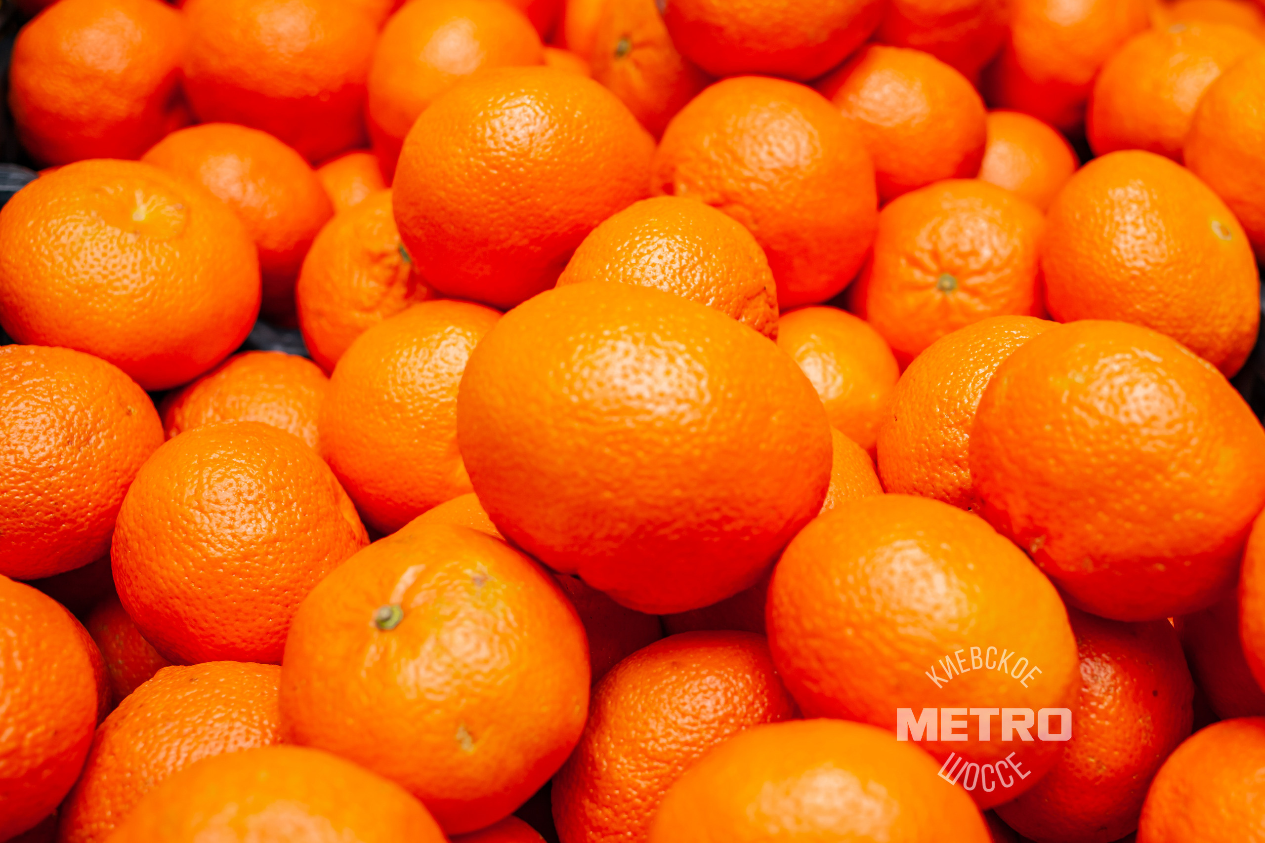 МЕТРО. Фотограф Алина Гашникова