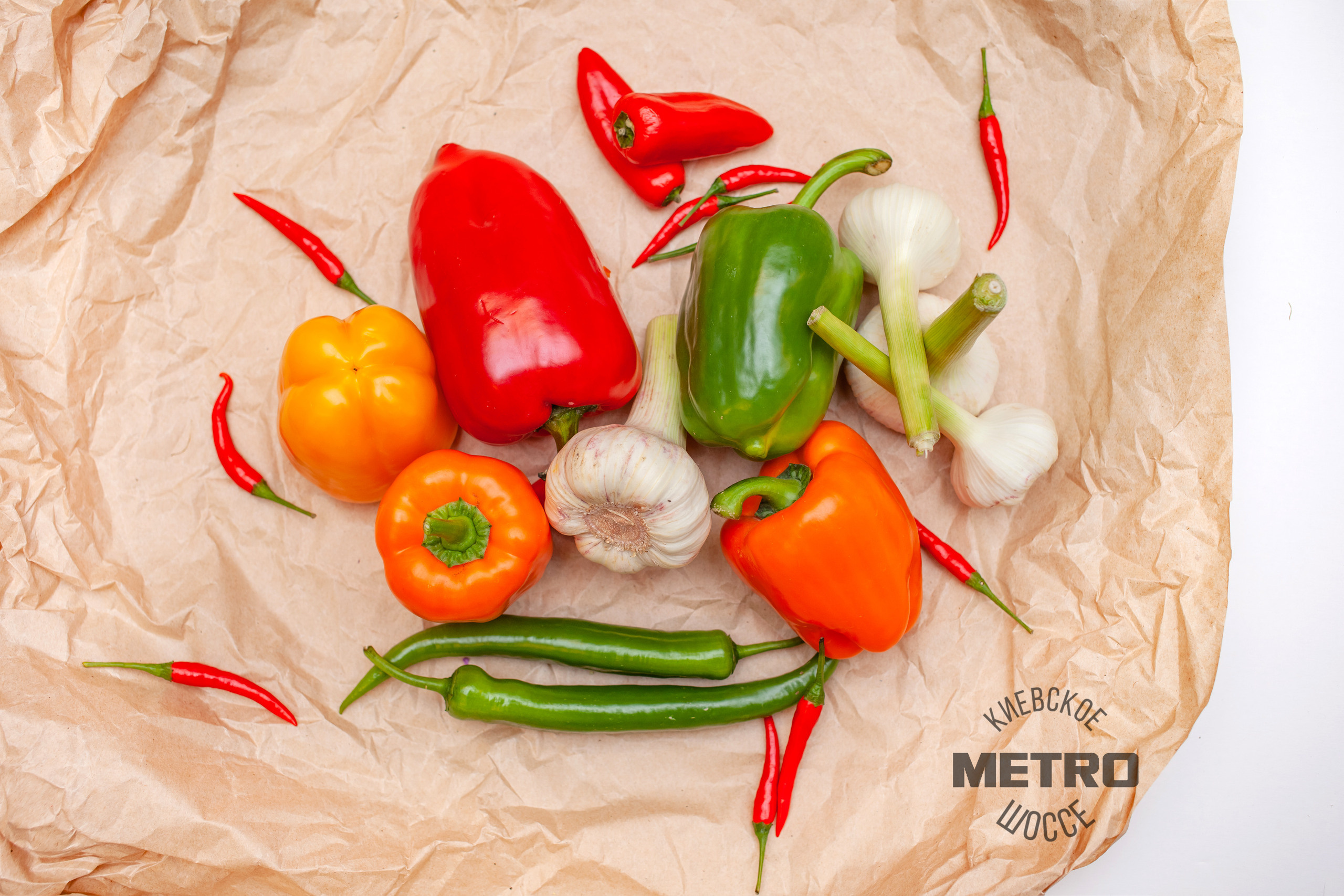 МЕТРО. Фотограф Алина Гашникова