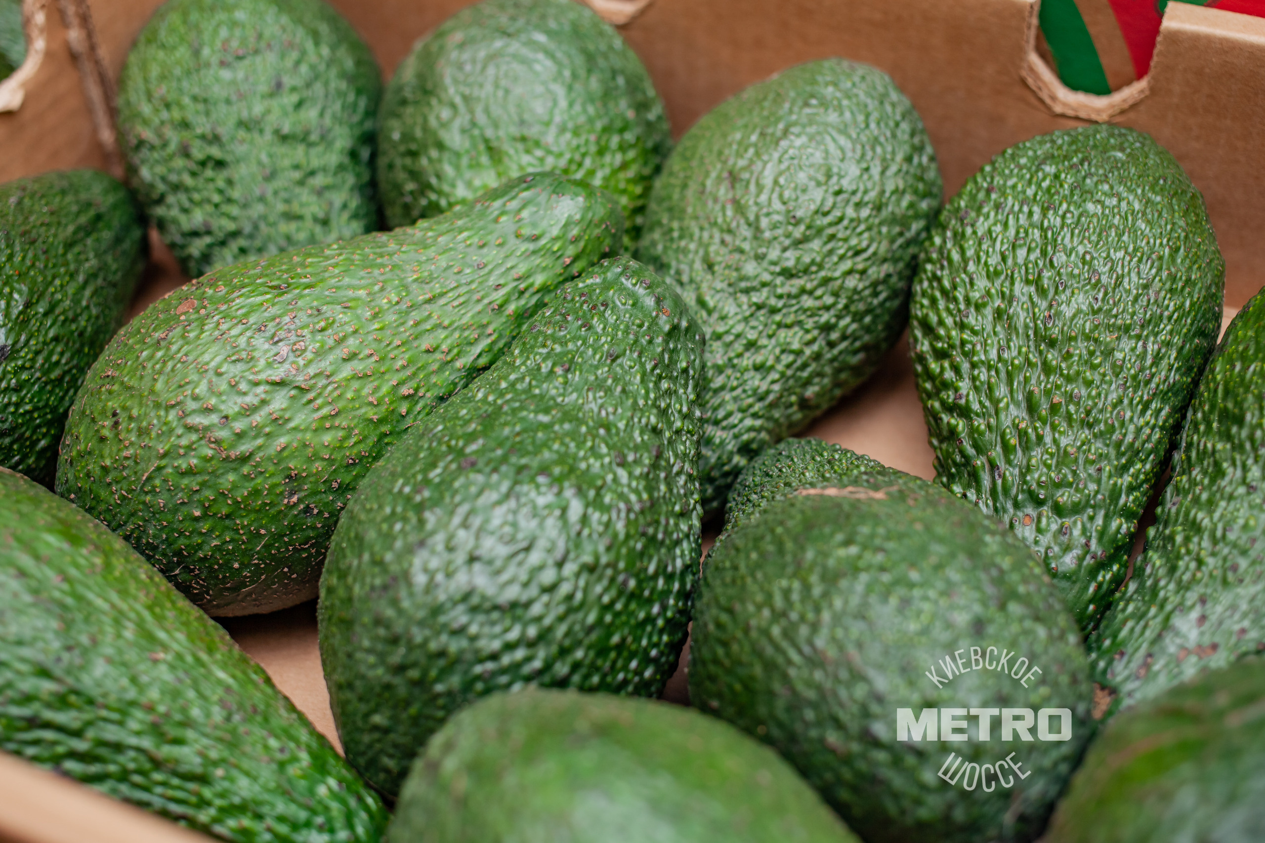 МЕТРО. Фотограф Алина Гашникова