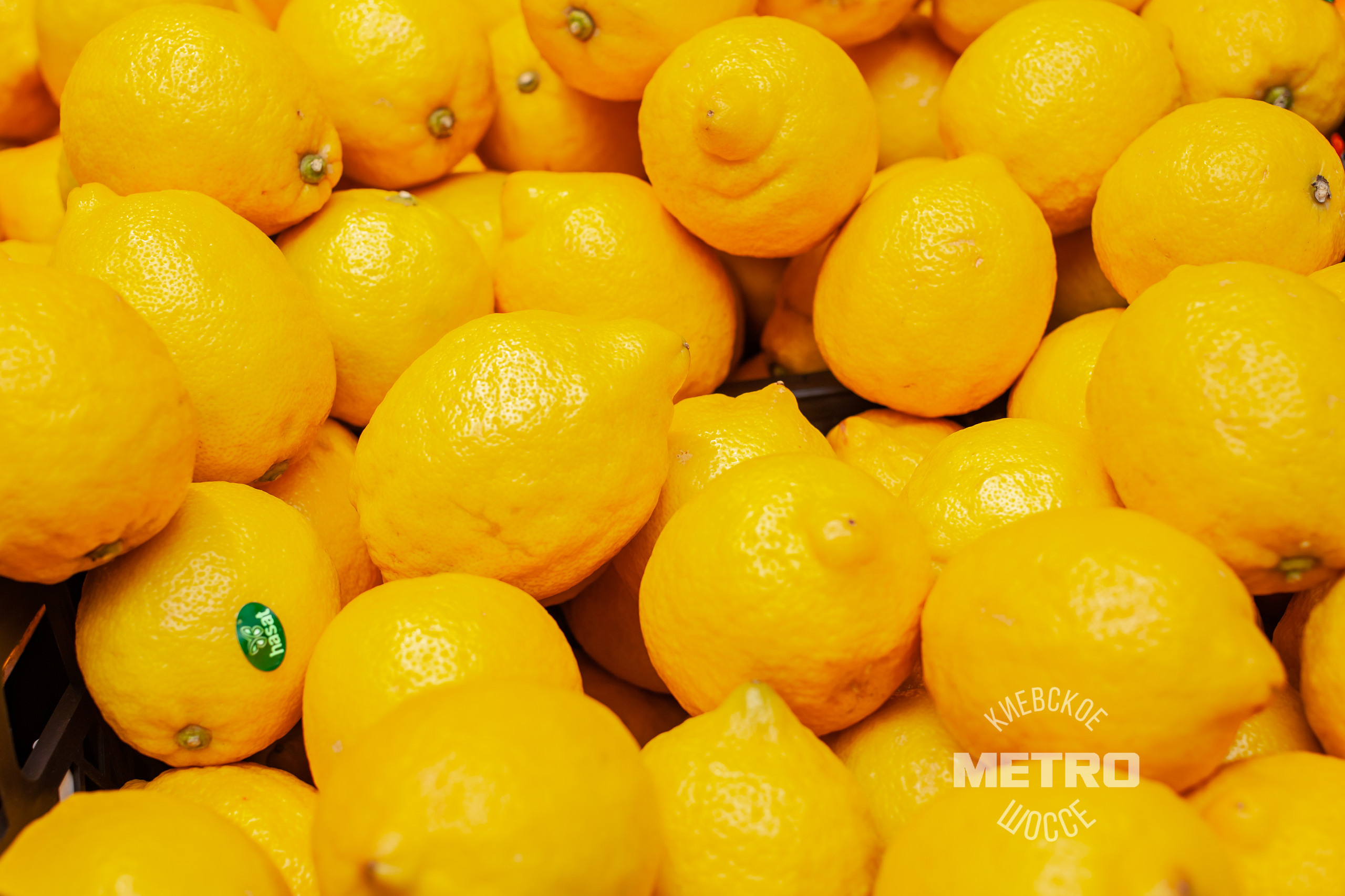 МЕТРО. Фотограф Алина Гашникова