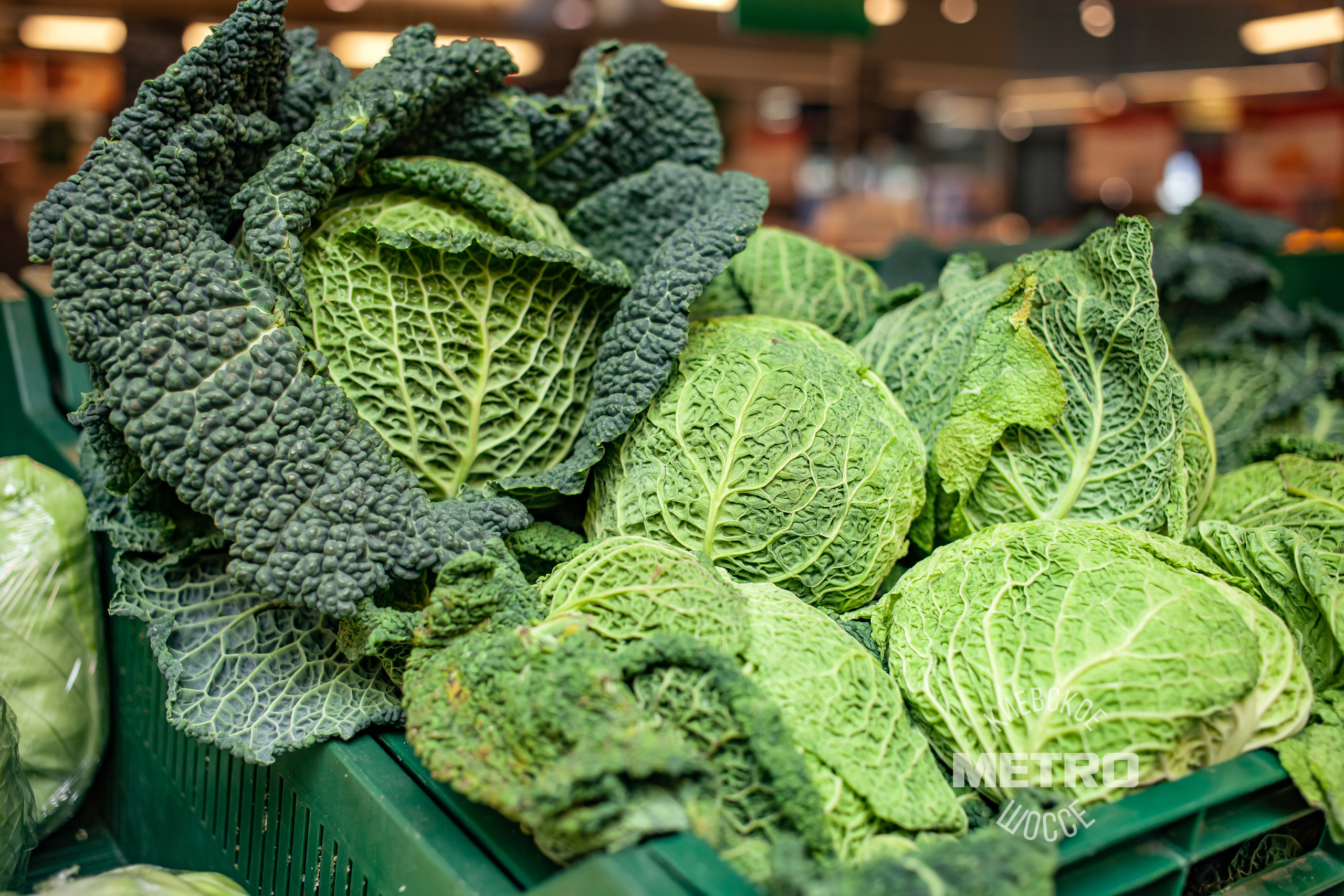 МЕТРО. Фотограф Алина Гашникова