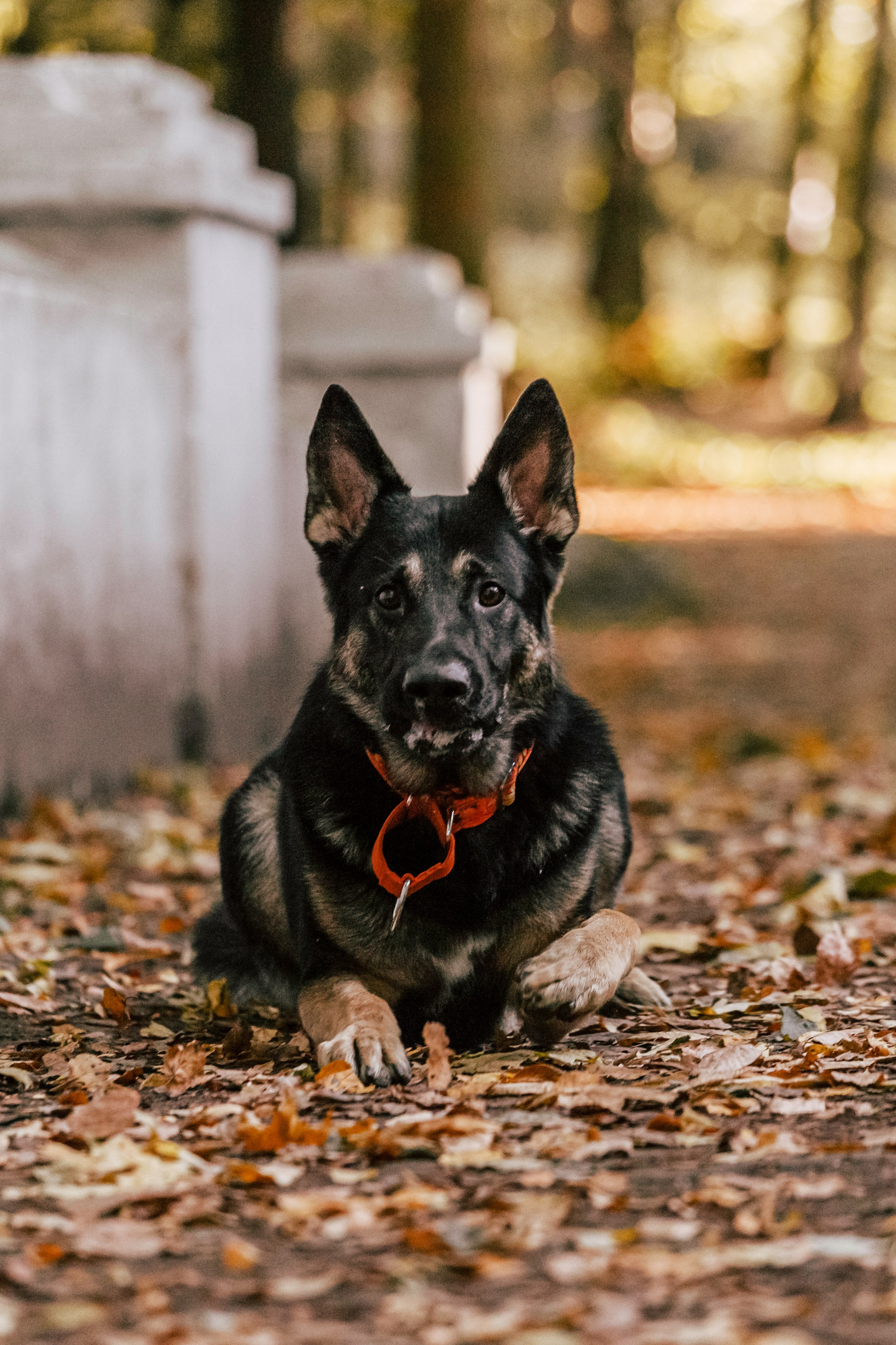 Илай. Фотограф-анималист Татьяна Степанова