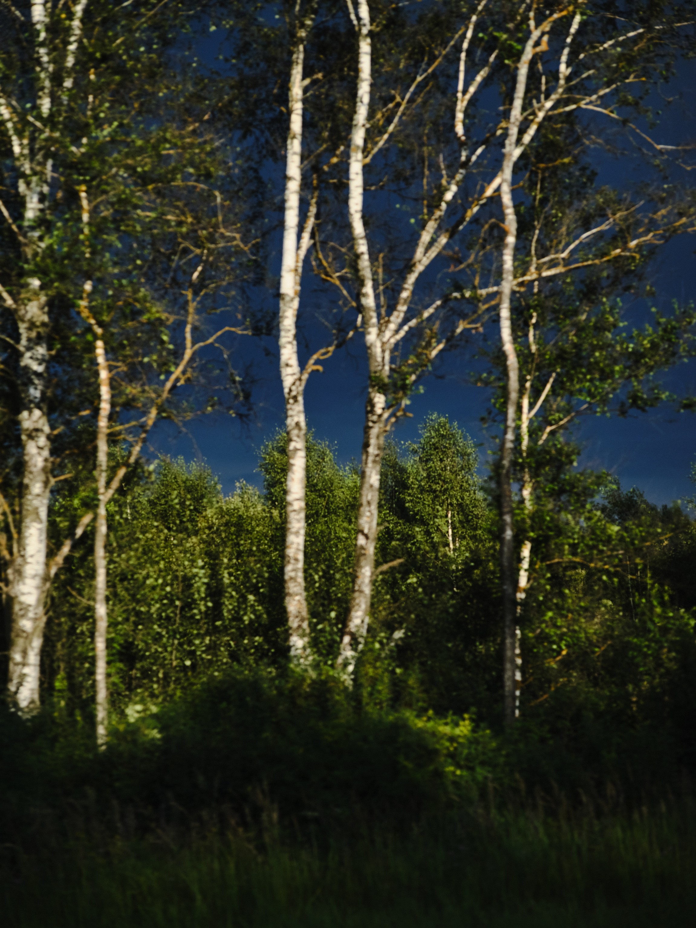 Фотограф Юлия Глазкова