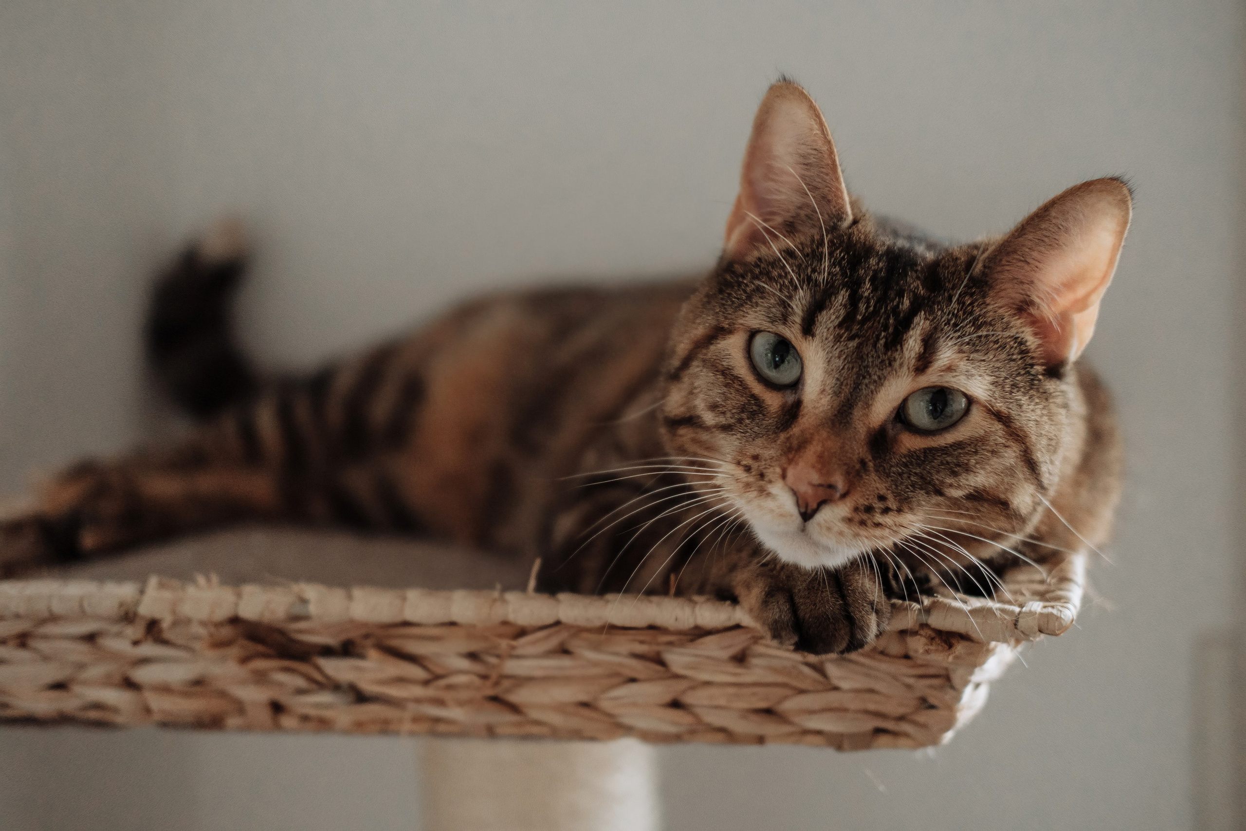 Ivan & Anna & Mark. Photographer Cologne Bonn Europe Anna Ketova