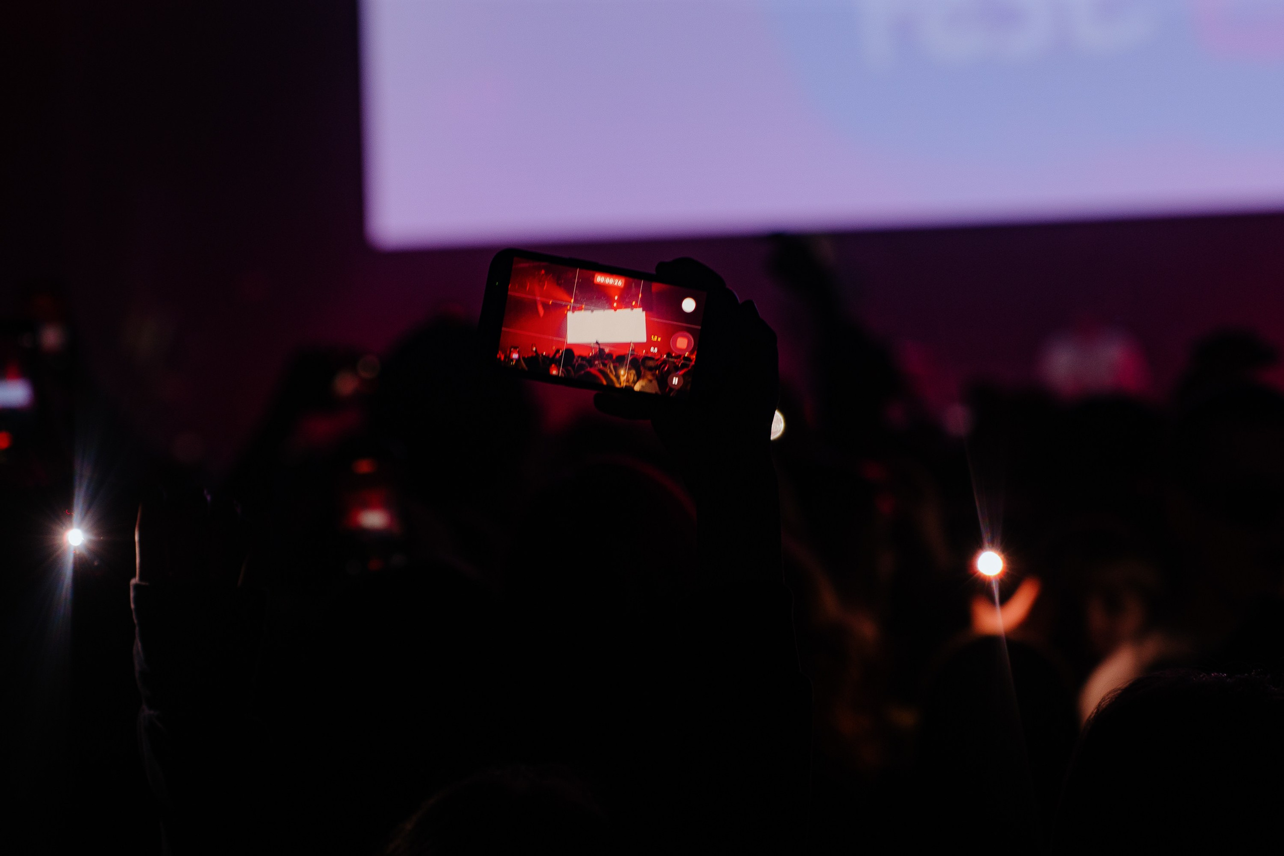 Molly Fest. Base. 20.02.2026. Главная