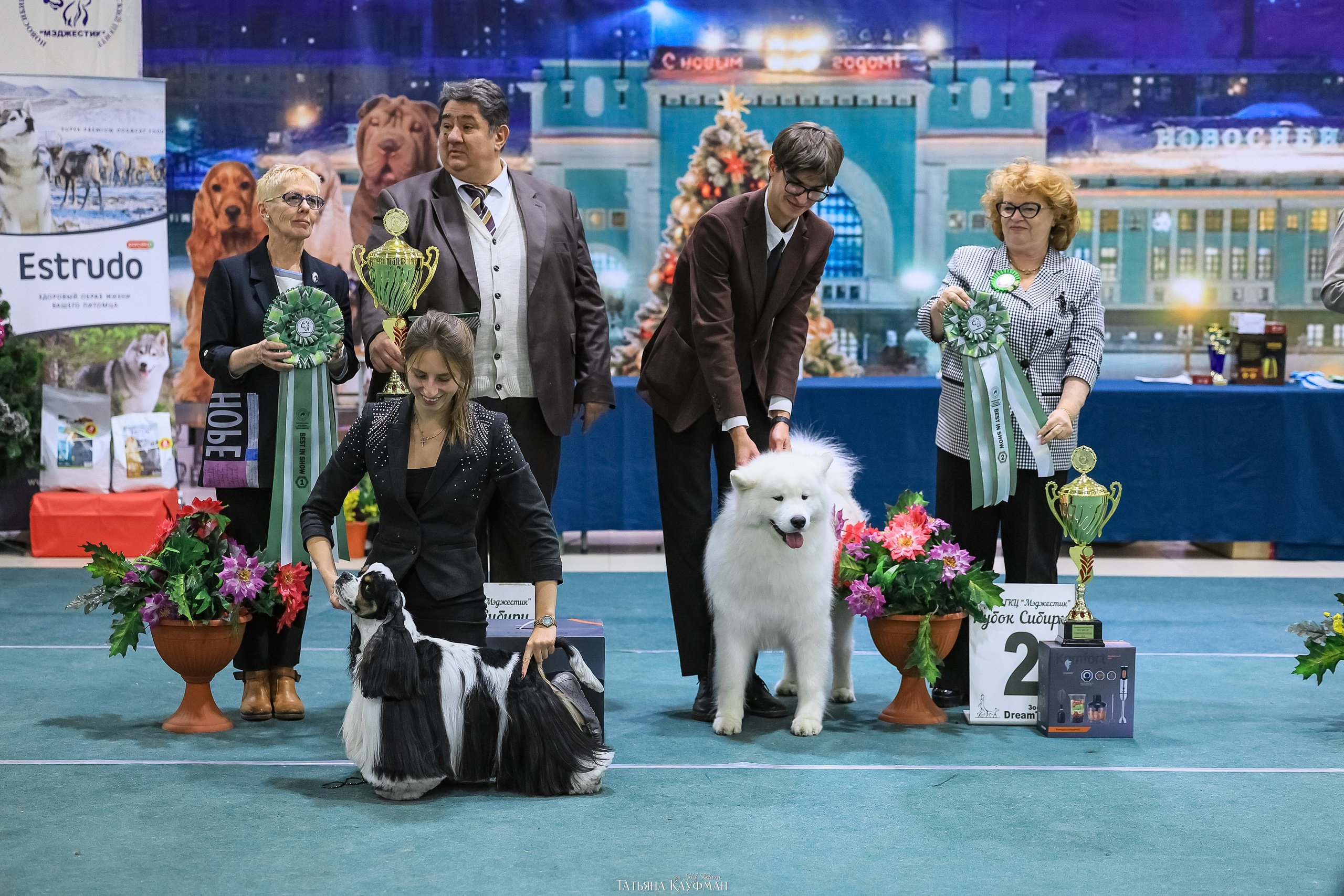 6-7.12.25 — 1-4 Национальные выставки собак в Новосибирске (2х рейтинговые). Фотограф Анималист из Новосибирска Татьяна Кауфман