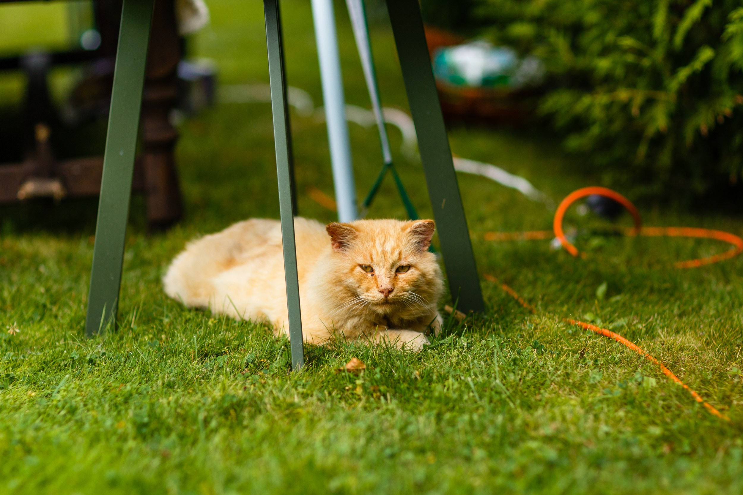 День рождения — Саше 6 лет. Семейный фотограф Фрязино Зрячева Кристина