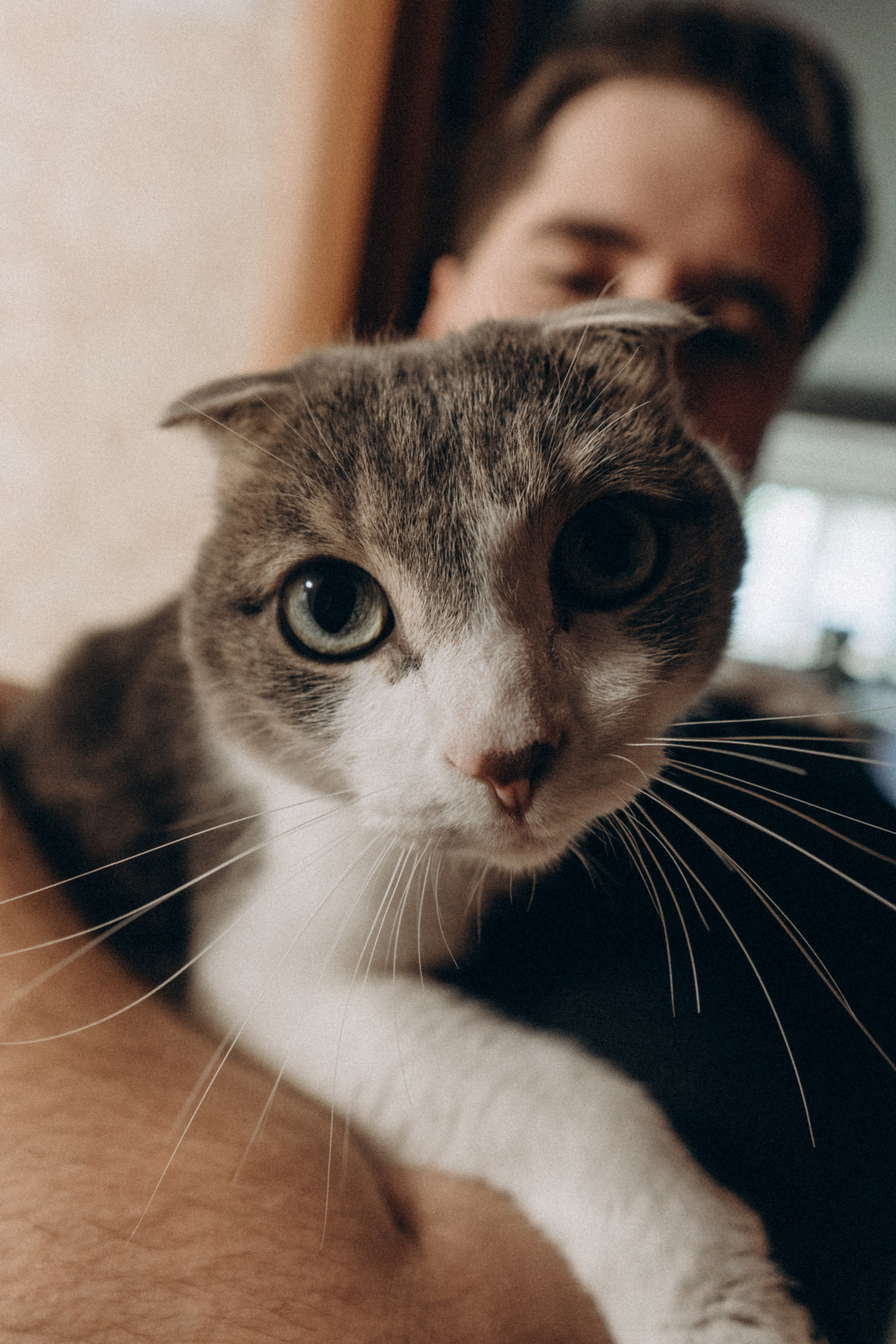 Вика&Даня. Фотограф и видеограф в Тюмени Екатерина Чернецкая