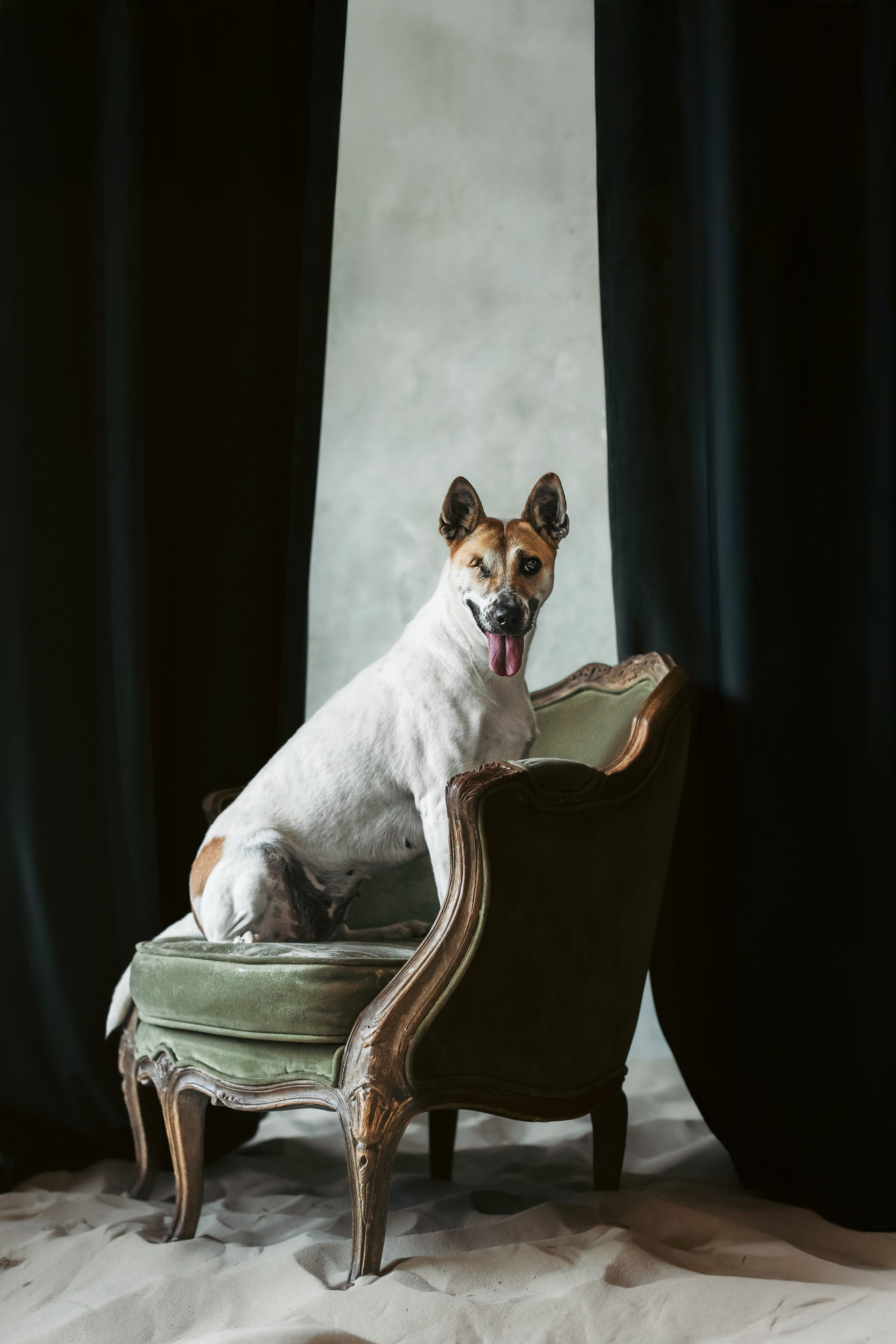 Полина и Альвильда. Фотограф-анималист Татьяна Степанова