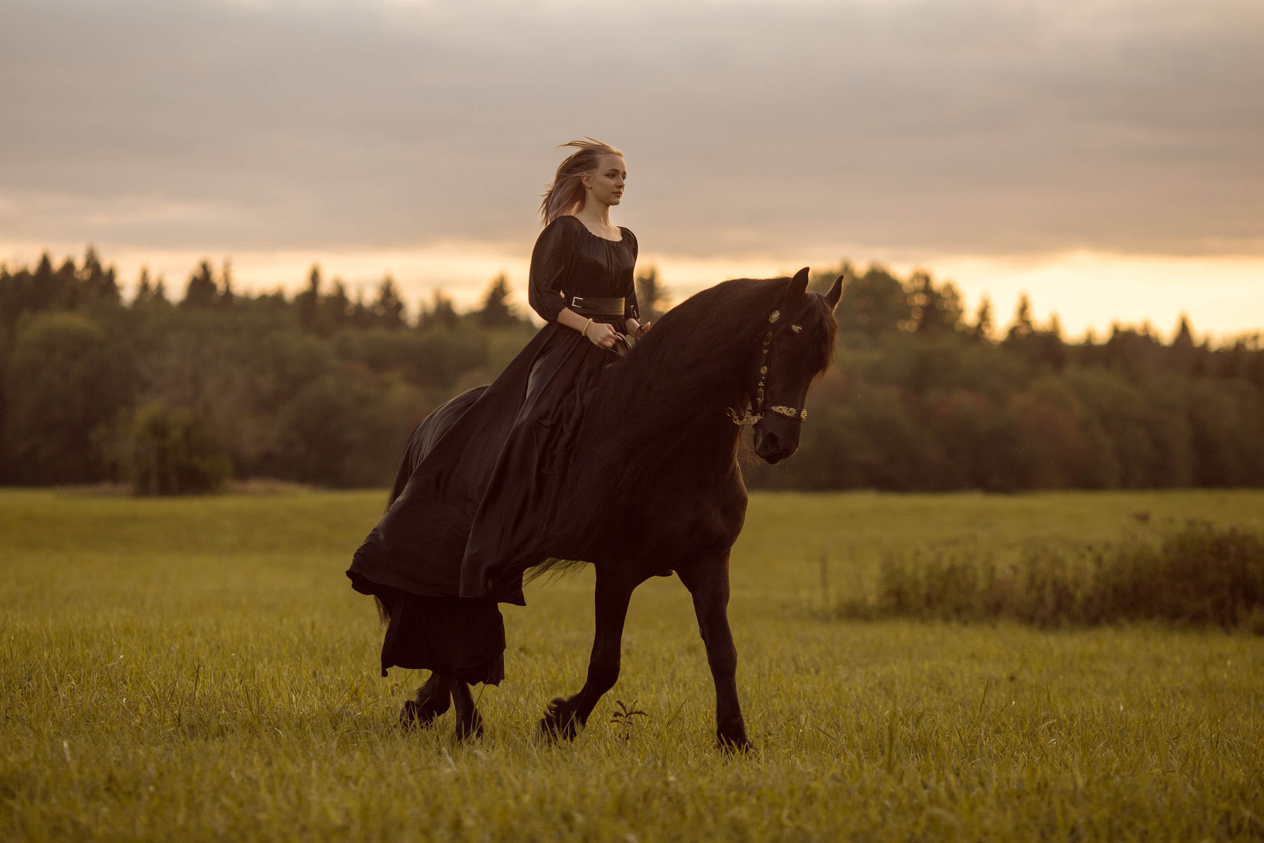 Фотосессия с фризом