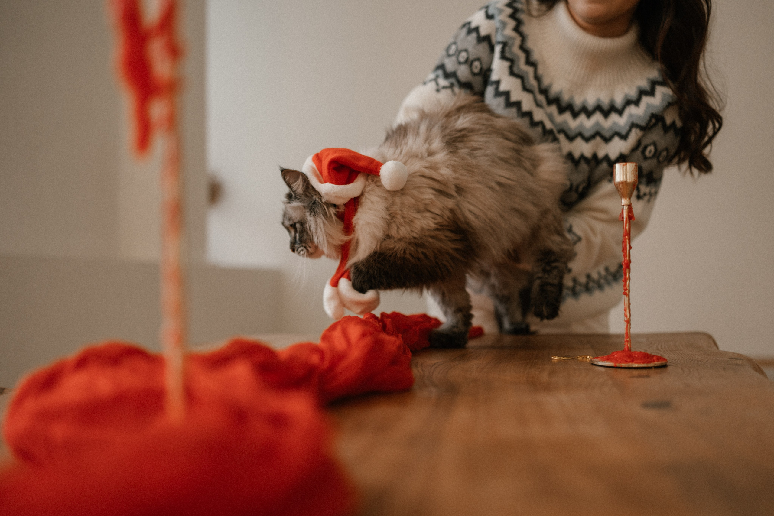 Камилла и ее девочки. Фотограф — Анималист | Санкт-Петербург
