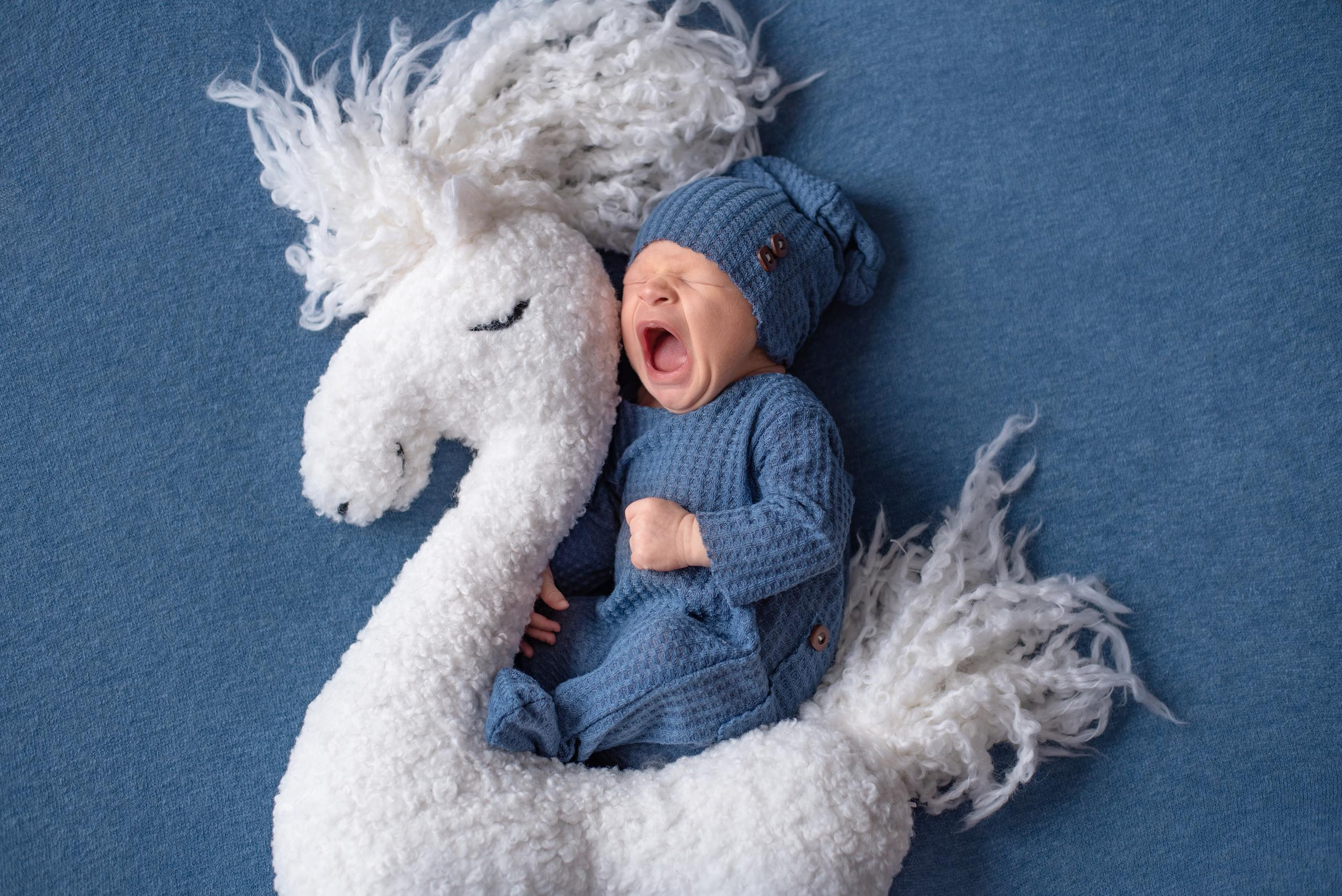 Фото новорожденного с лошадкой