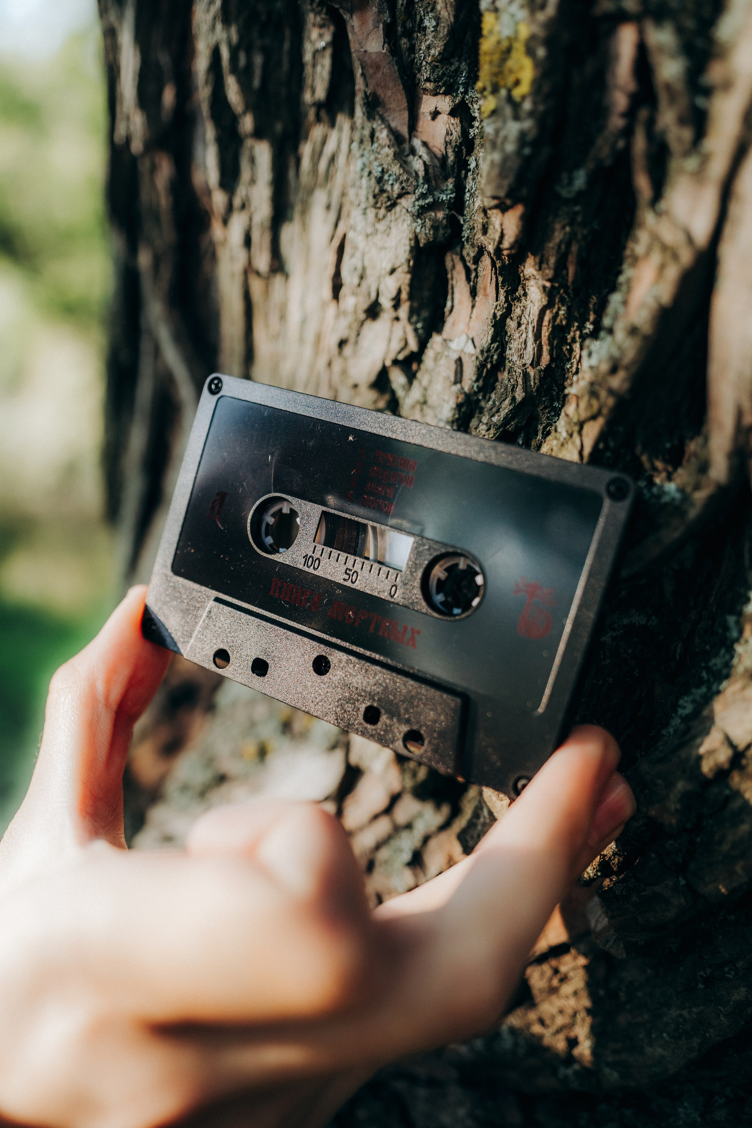 Мерч для The Denied